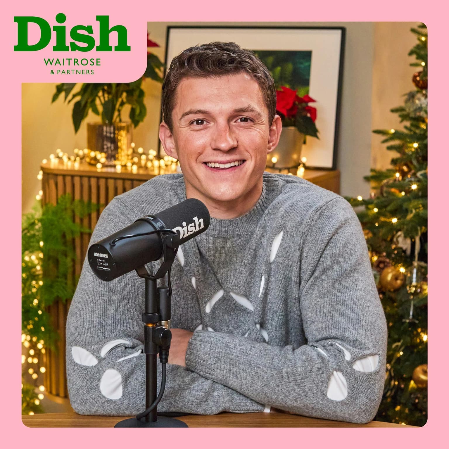 Tom Holland, Christmas dinner with all the trimmings artwork