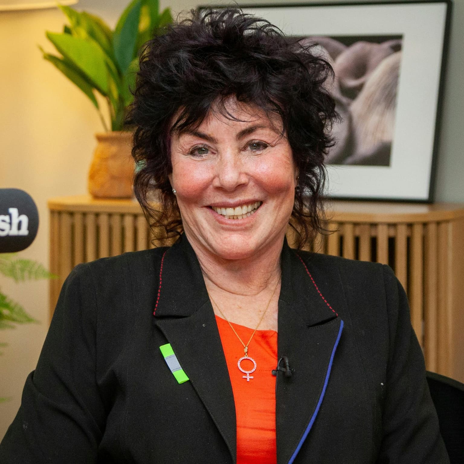 Ruby Wax, spiced cauliflower & pomegranate salad and a mimosa mocktail artwork