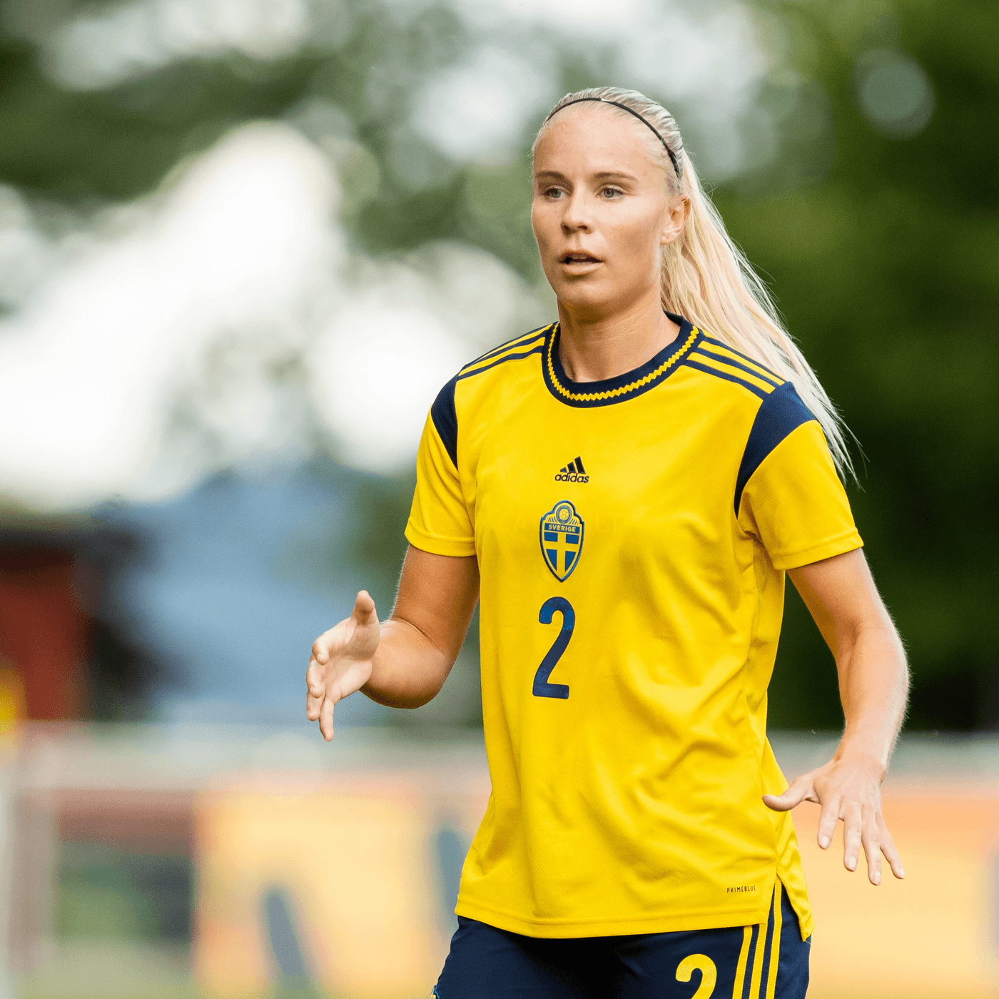 EDF: Vad är det som händer i Djurgården? artwork