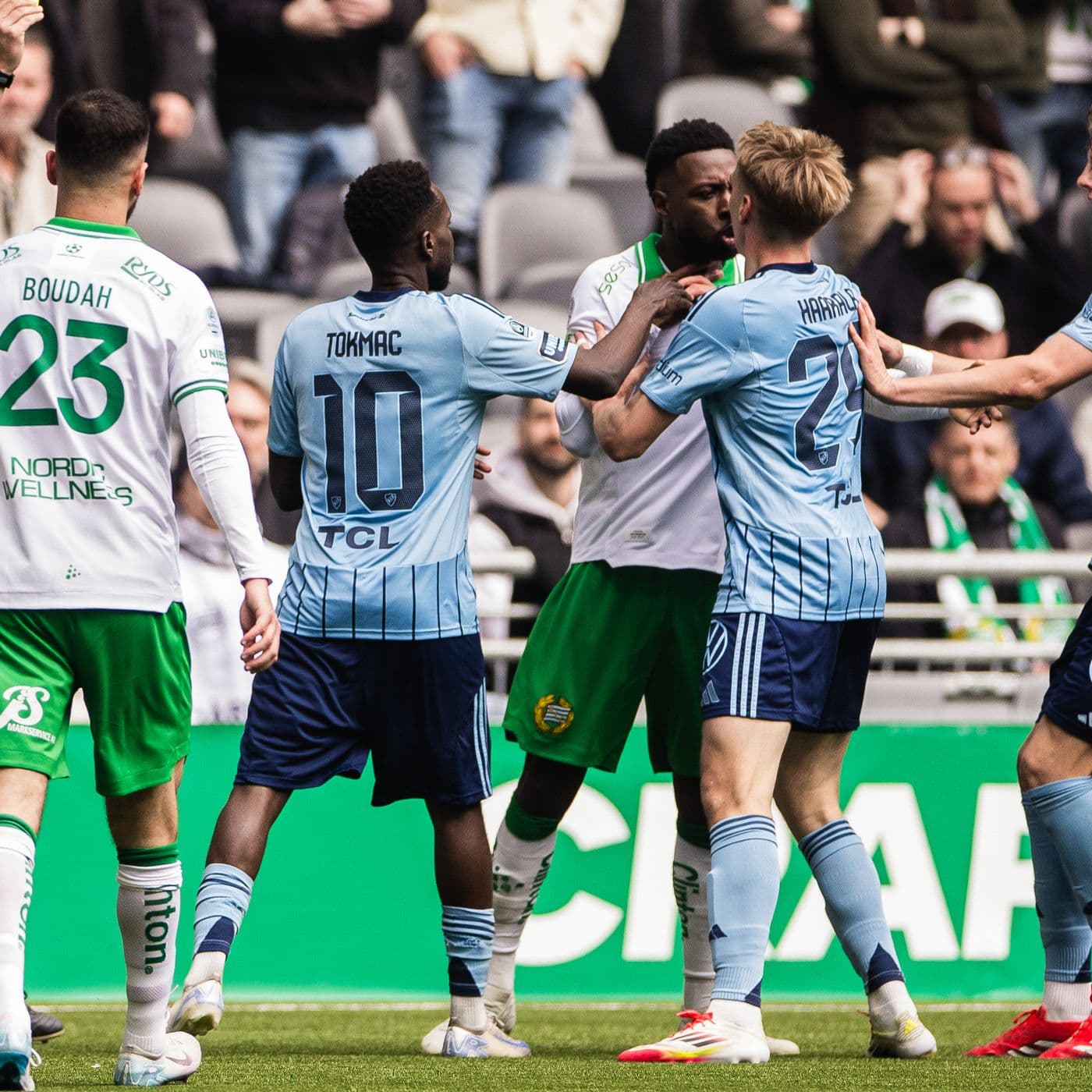 HAMMARBY-DJURGÅRDEN: ”Kungen av Stockholm” artwork