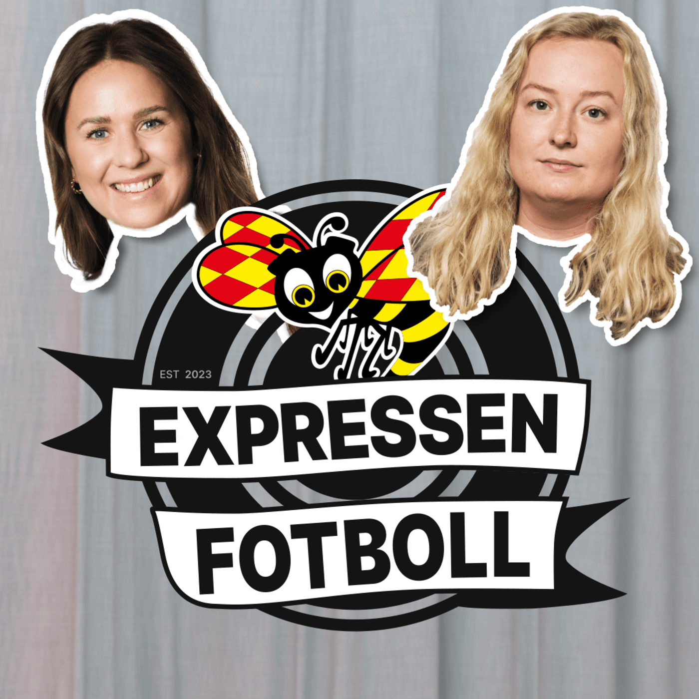Allt inför EM-kvalmatchen mot Lejoninnorna artwork