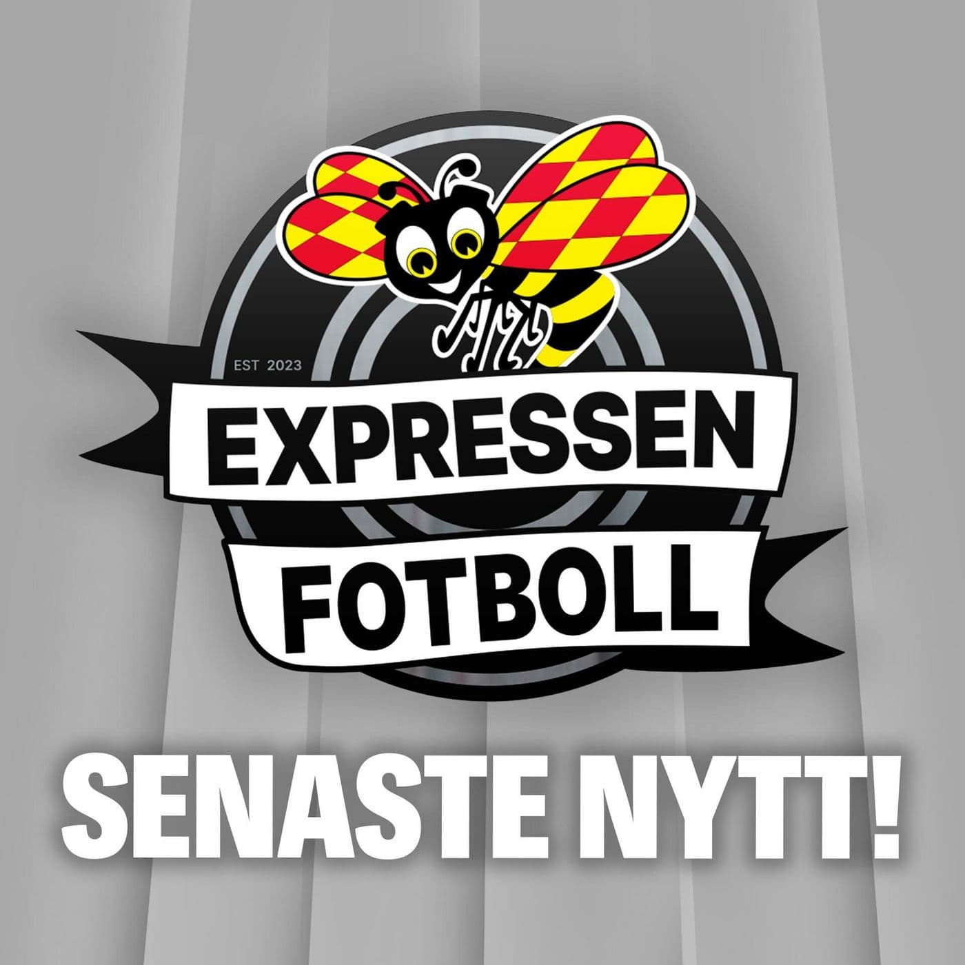 SENASTE NYTT: Hade Erik Hamrén rätt hela tiden? artwork