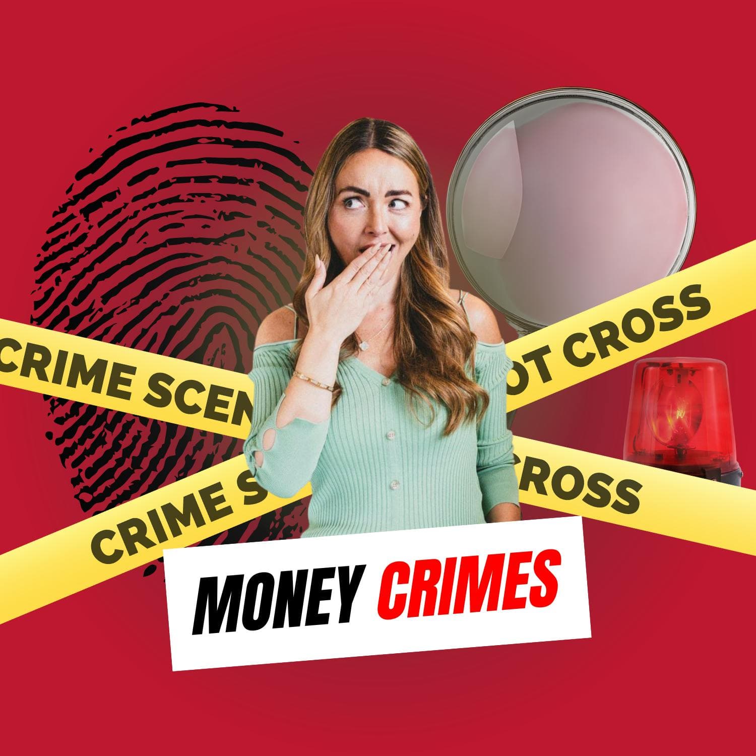 Introducing: Money Crimes with Nicole Lapin artwork