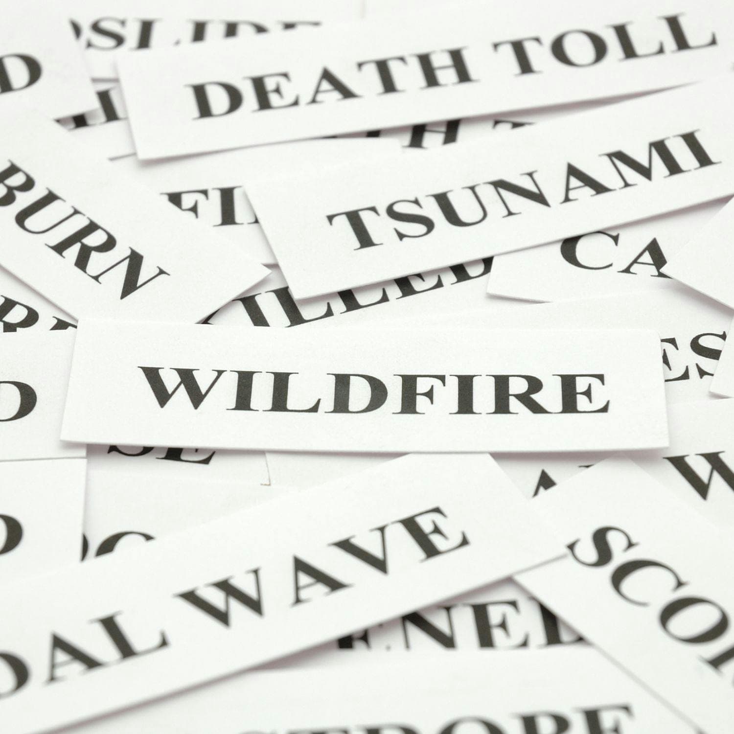 Wildfire Wake-Up Call: How To Protect Your Home and Finances If Disaster Strikes artwork