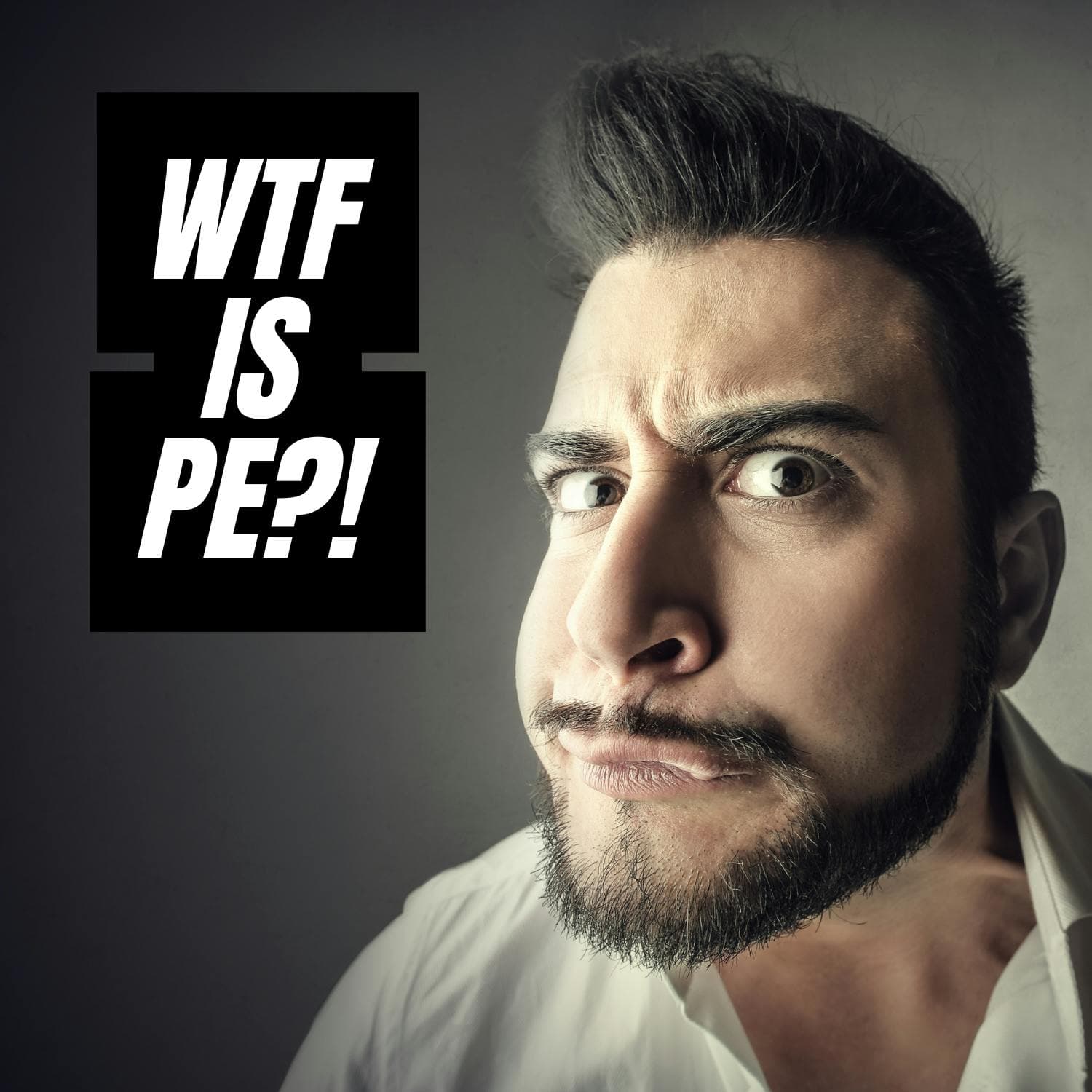 WTF is PE? Decoding Private Equity and How Investors Make Money artwork