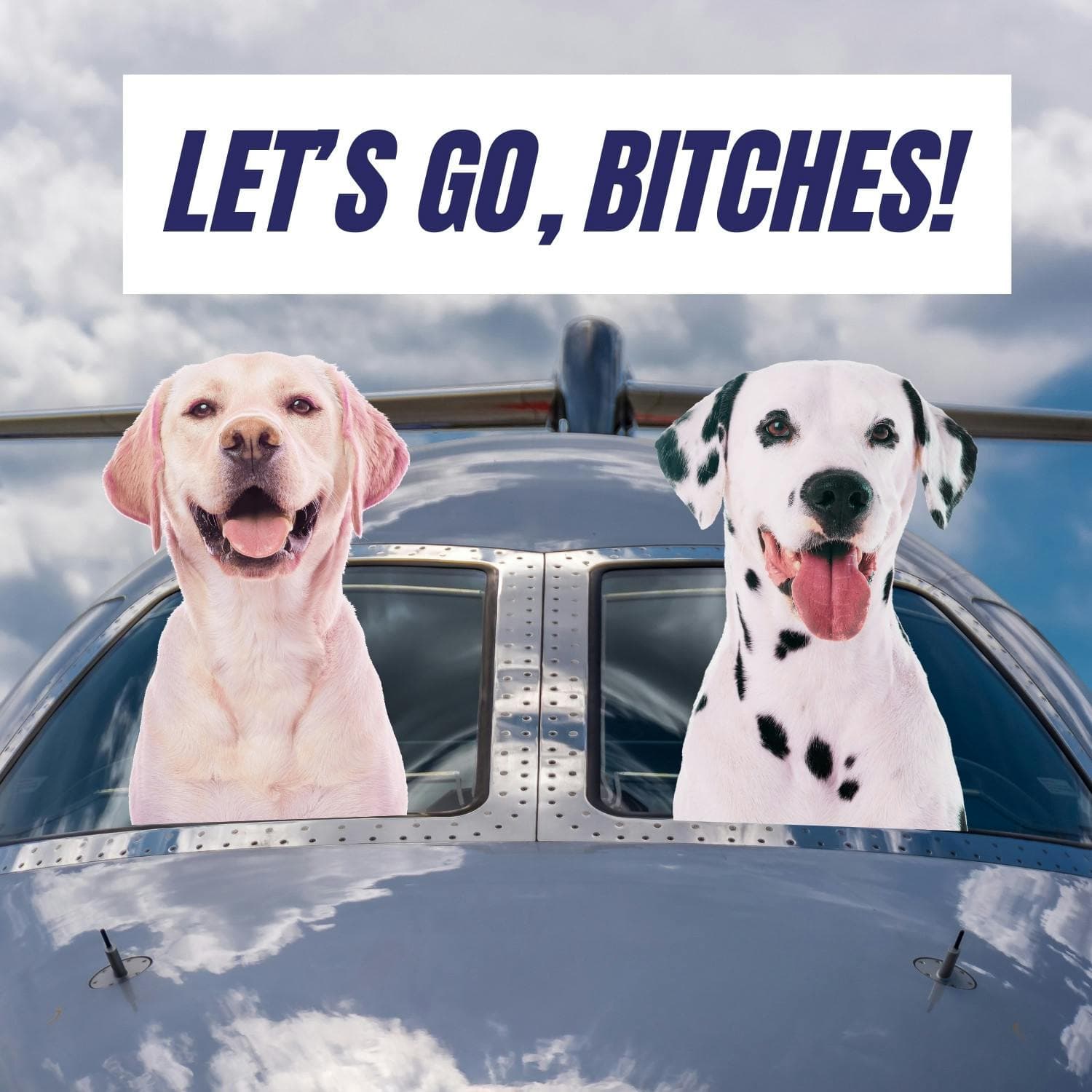 Funny Money with Gareth Reynolds: AI Girlfriends, Private Jets for Dogs and Emotional Baggage artwork