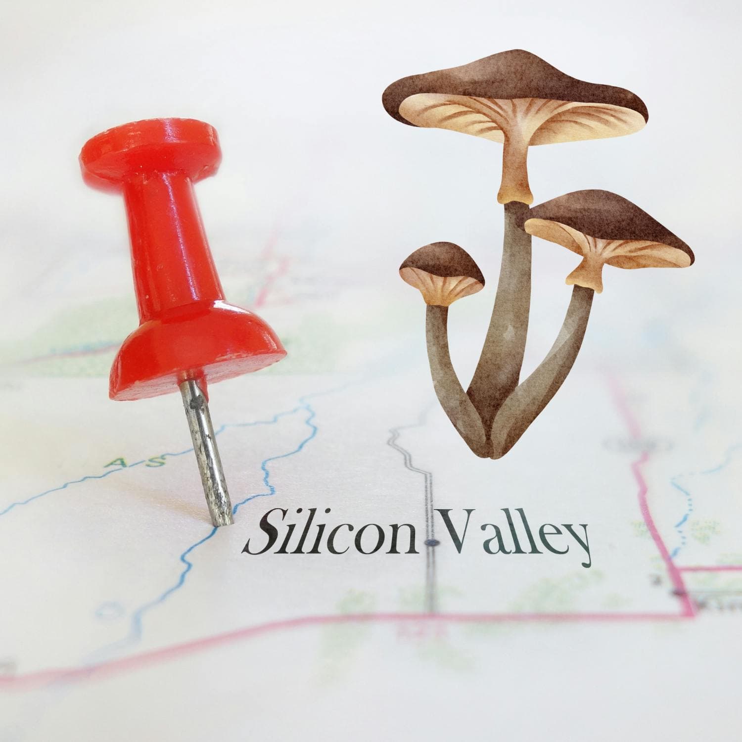 Why Silicon Valley is Obsessed with Microdosing artwork