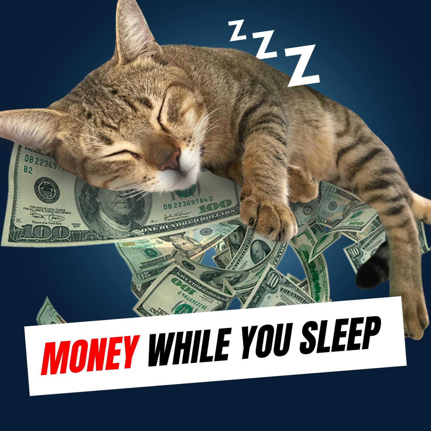How To Make Money While You Sleep: Sweep Accounts artwork