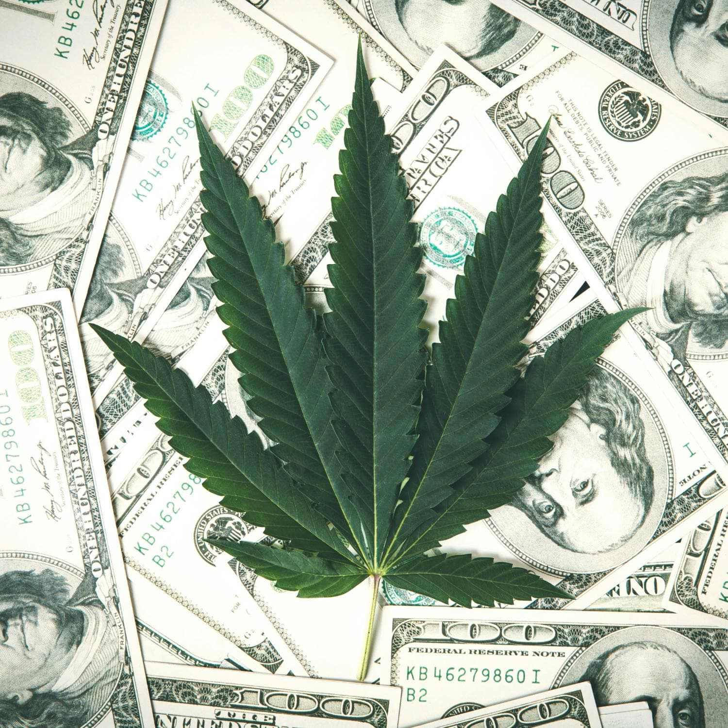 Investing in Marijuana: Buy Low, Sell High? artwork