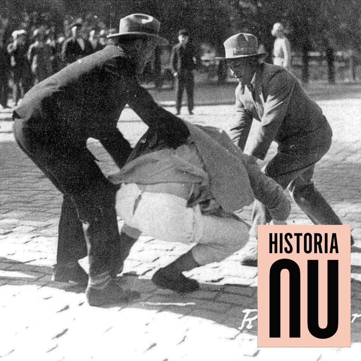 Det fascistiska hotet i Finland: finlandssvenskarna och striden mot extremismen artwork