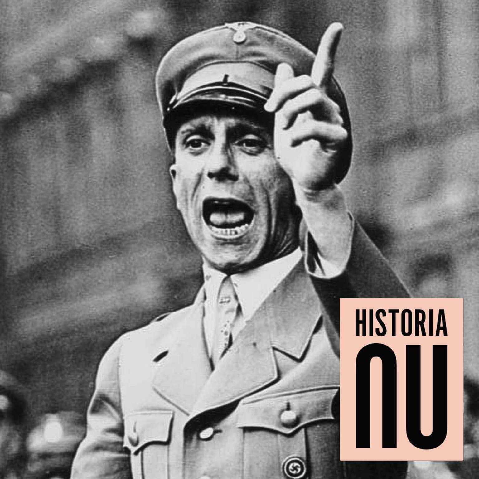 Goebbels totala kontroll över kulturen i Tredje riket artwork