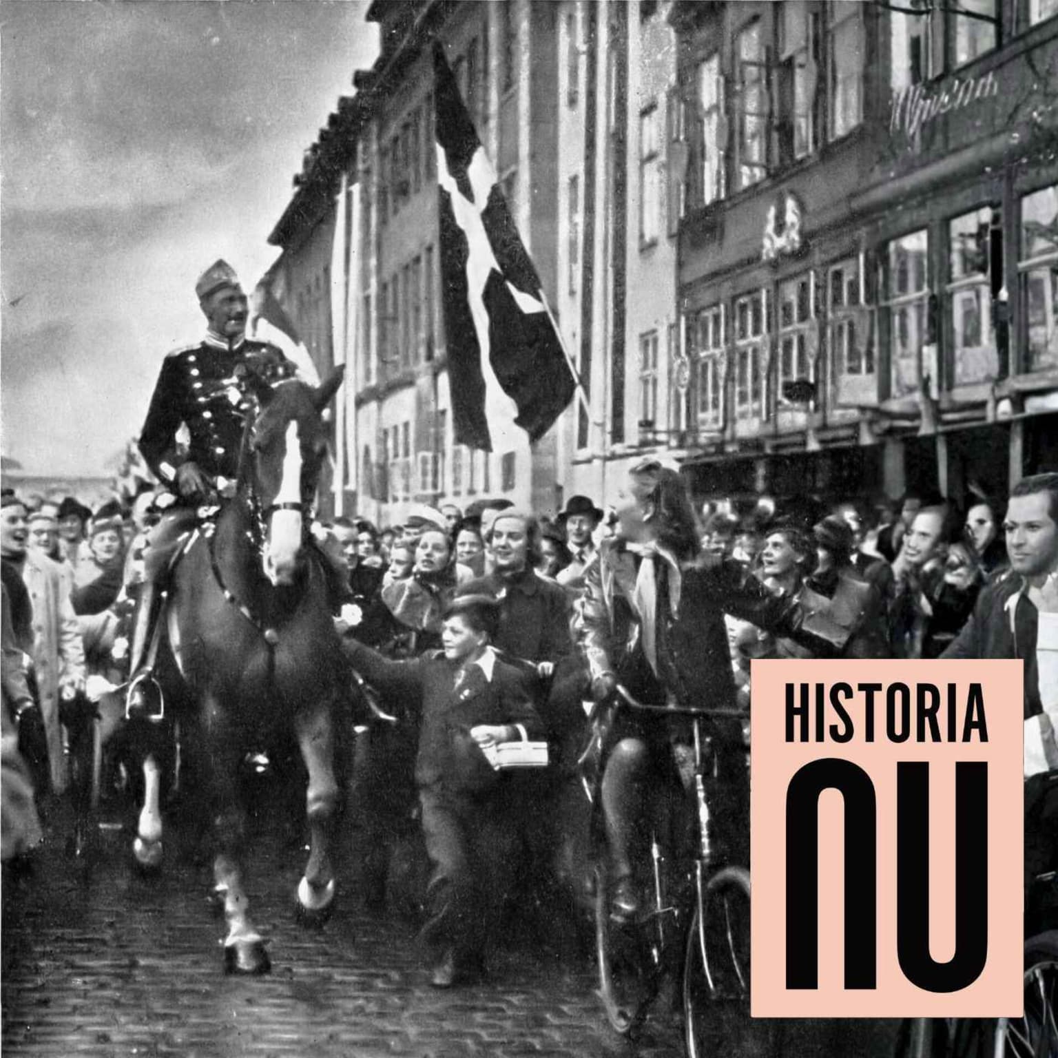 Den danska gräddfronten – ockupationen som hårdnade (del 1) artwork