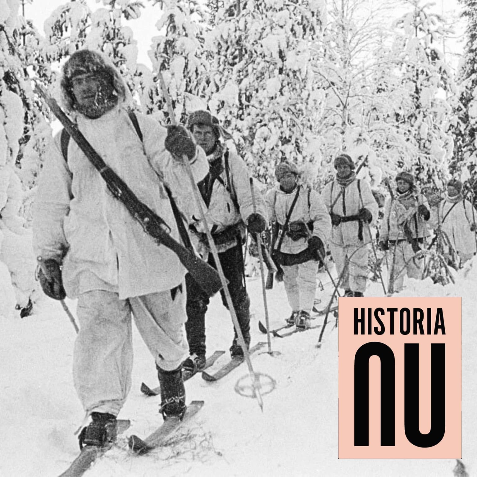 Vinterkriget – Finlands tappra kamp för oberoende artwork