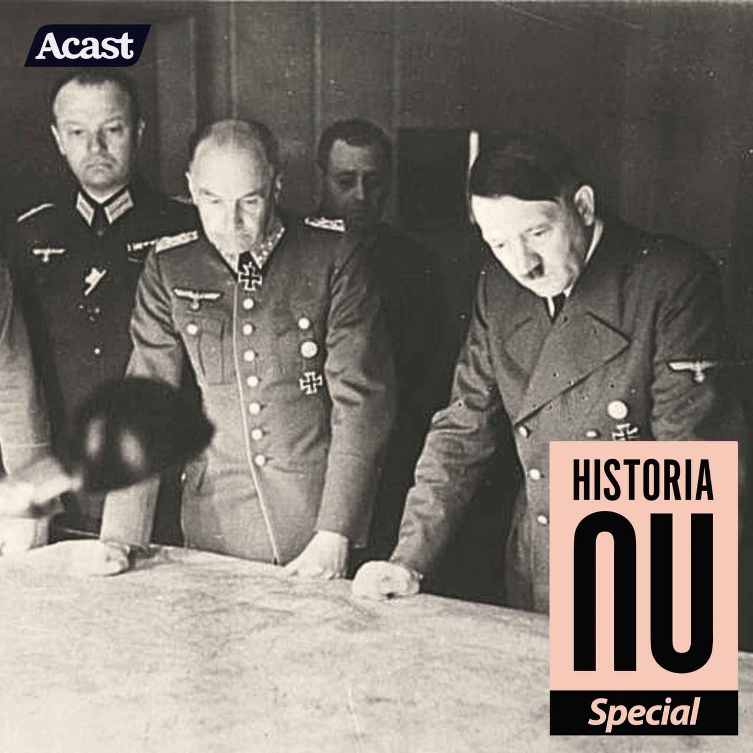 Adolf Hitlers apokalyptiska världsbild i praktiken (del 4) artwork