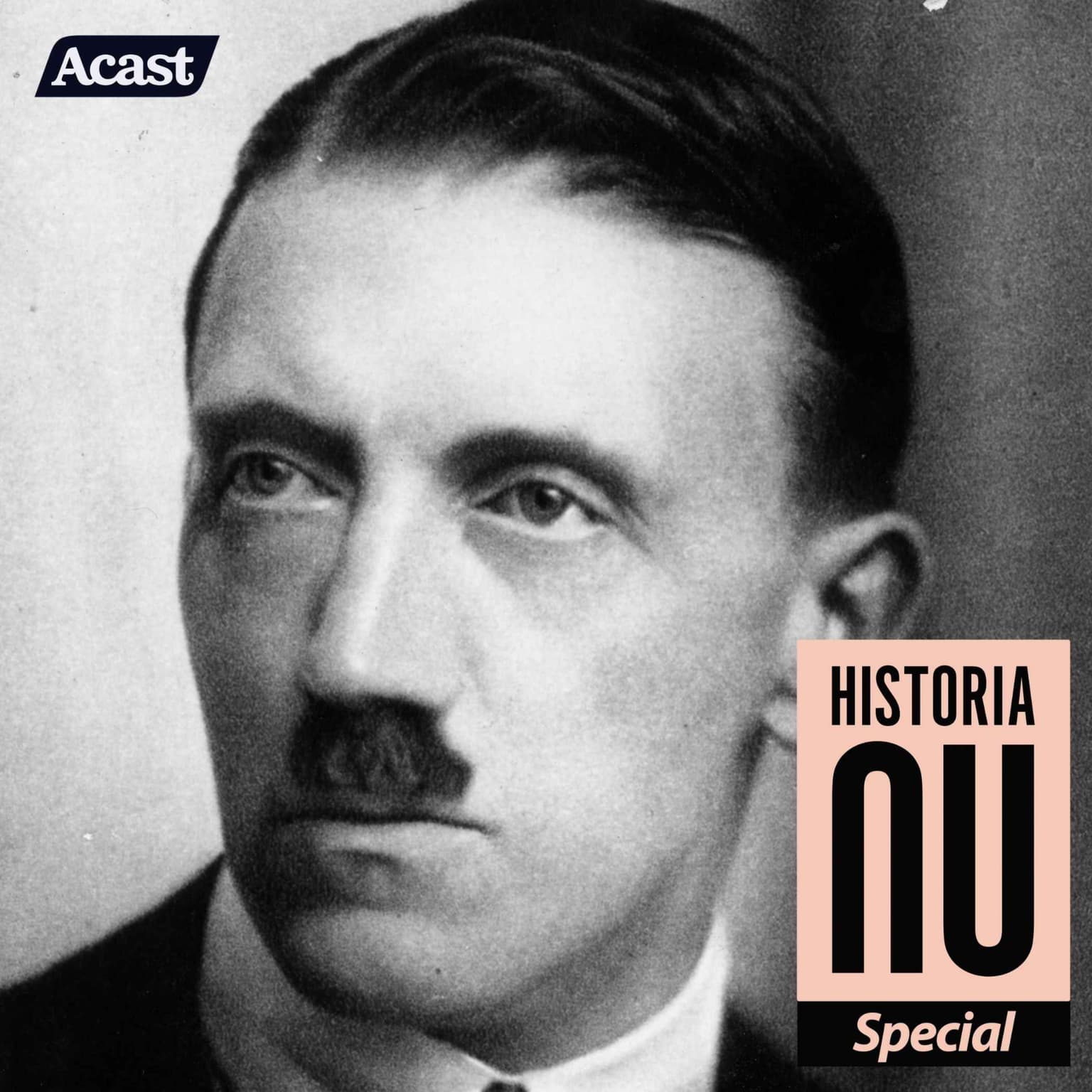Adolf Hitler - grandiosa konstnärsdrömmar (1889-1921, del 1) artwork