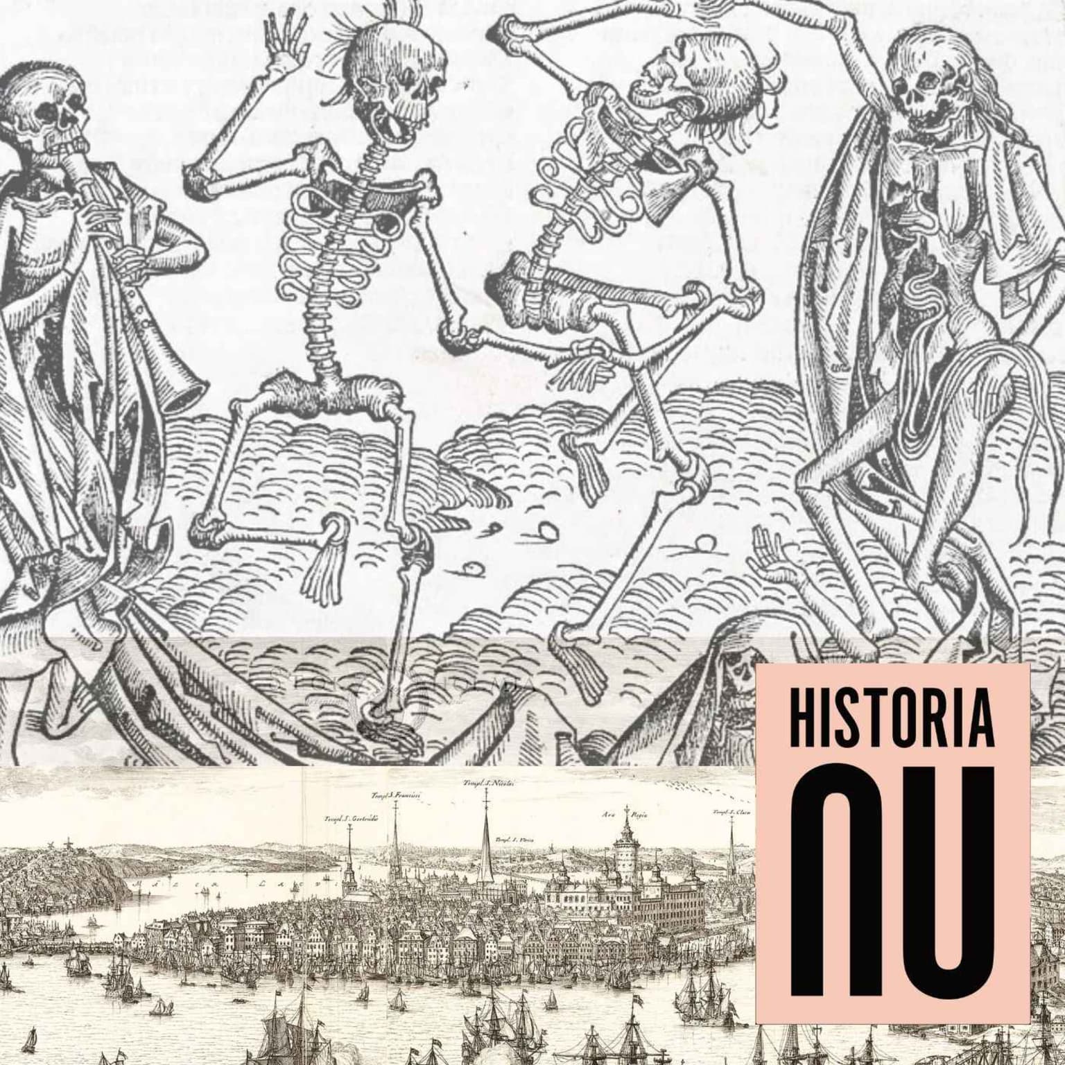 1710 – Pestens år som halverade huvudstadens befolkning artwork