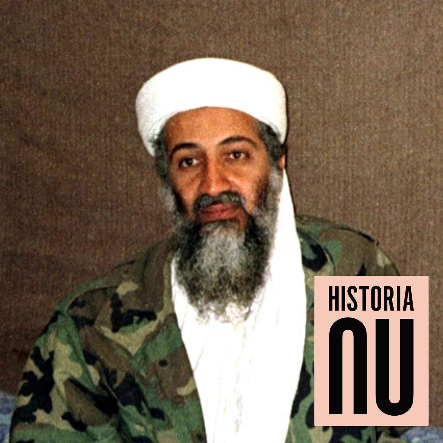 Al-Qaida – från gerillabas till internationell islamistisk terrorism artwork