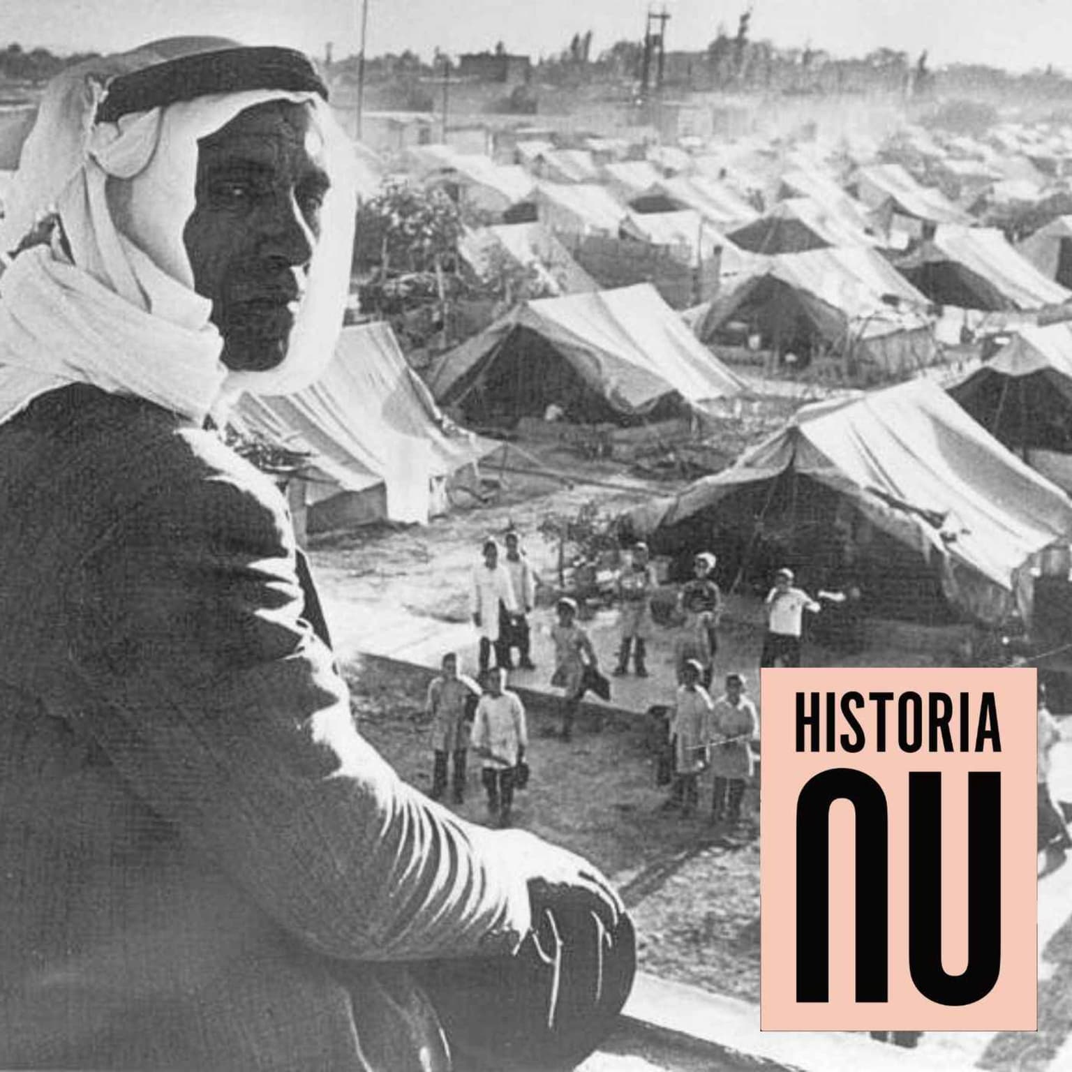 Al-Naqba – fördrivningen av palestinierna 1948 artwork