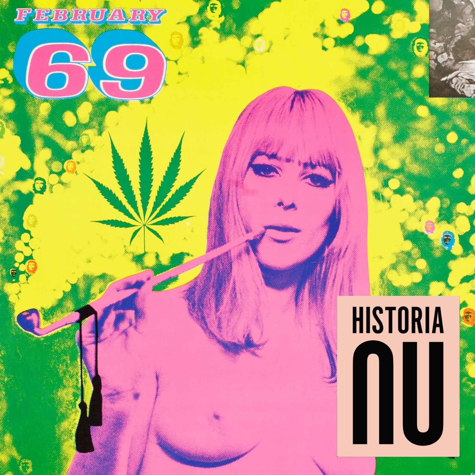 Sveriges psykedeliska historia artwork