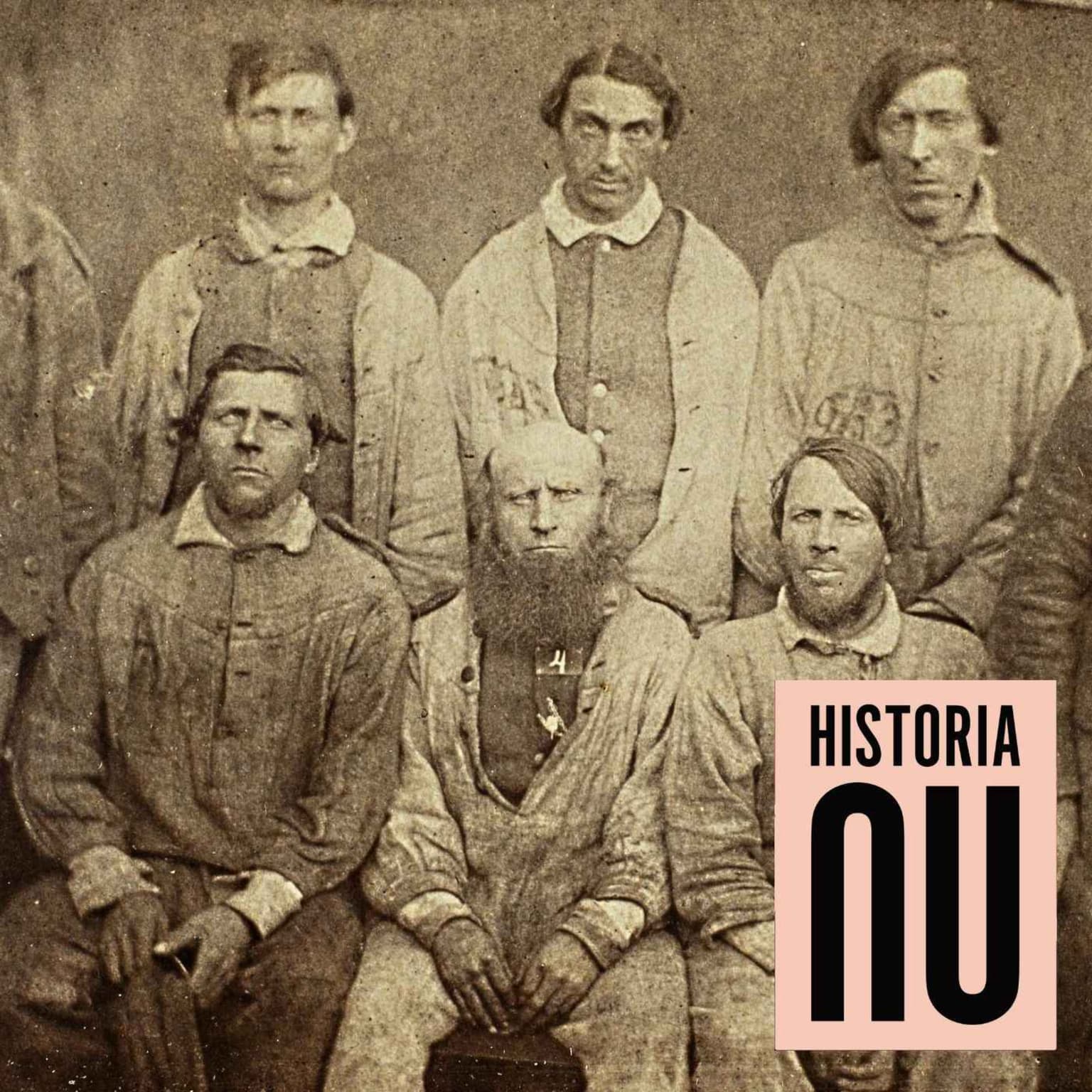 Livstidsfångarnas hårda liv på Carlstens fästning i 1800-talets mitt artwork