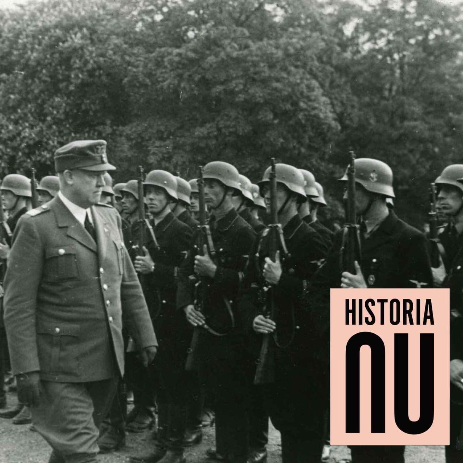 De nordiska frivilliga i Waffen-SS (premium) artwork
