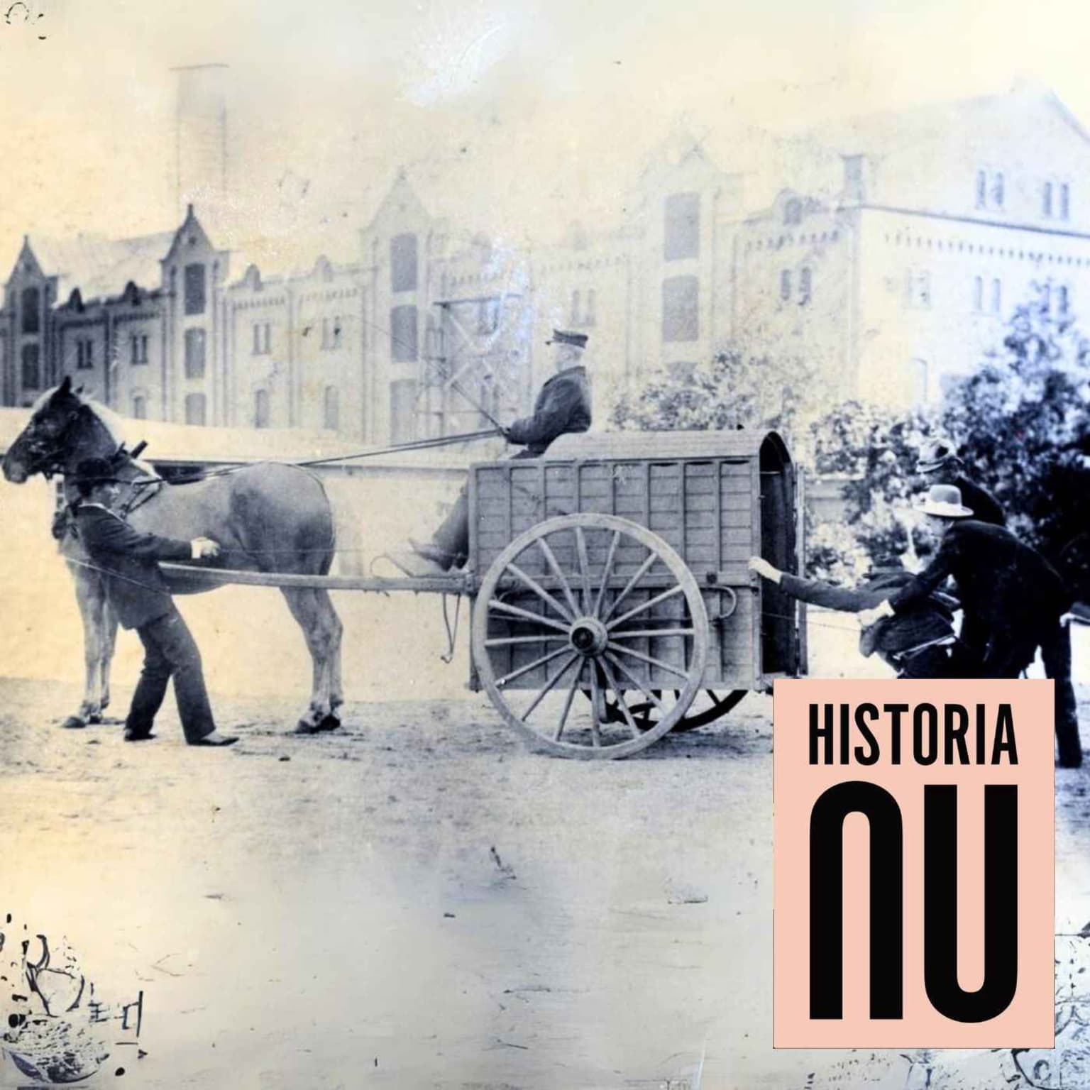 Polisens historia - från lokalt till statligt våldskapital artwork