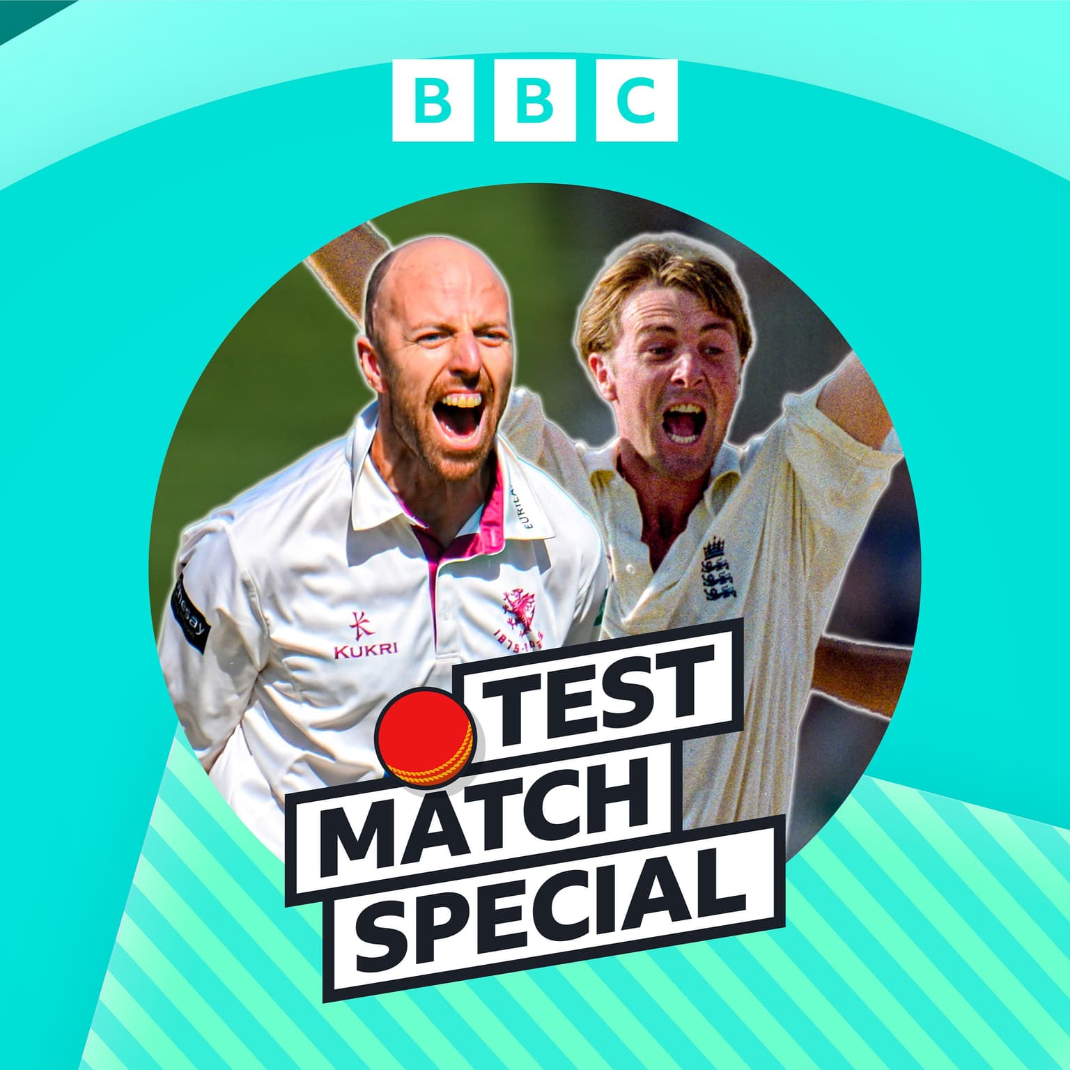 The art of spin bowling artwork