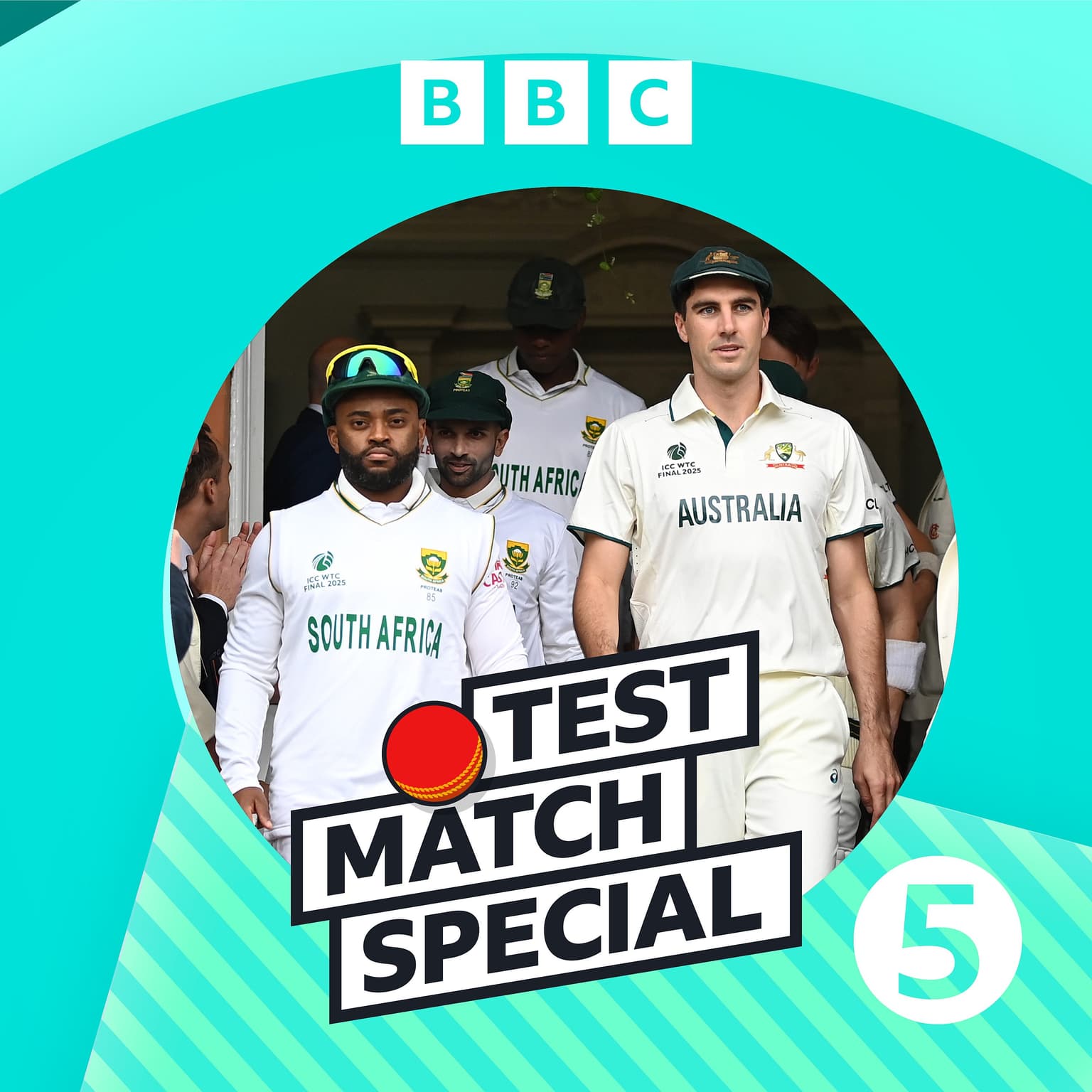 Is Test cricket thriving or simply surviving? artwork
