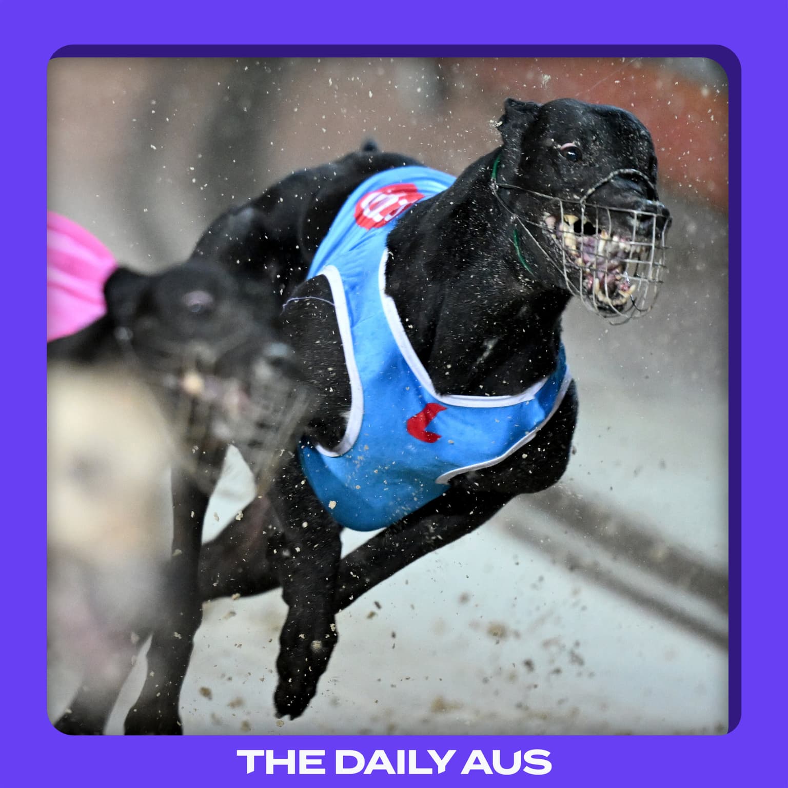 The demise of greyhound racing artwork
