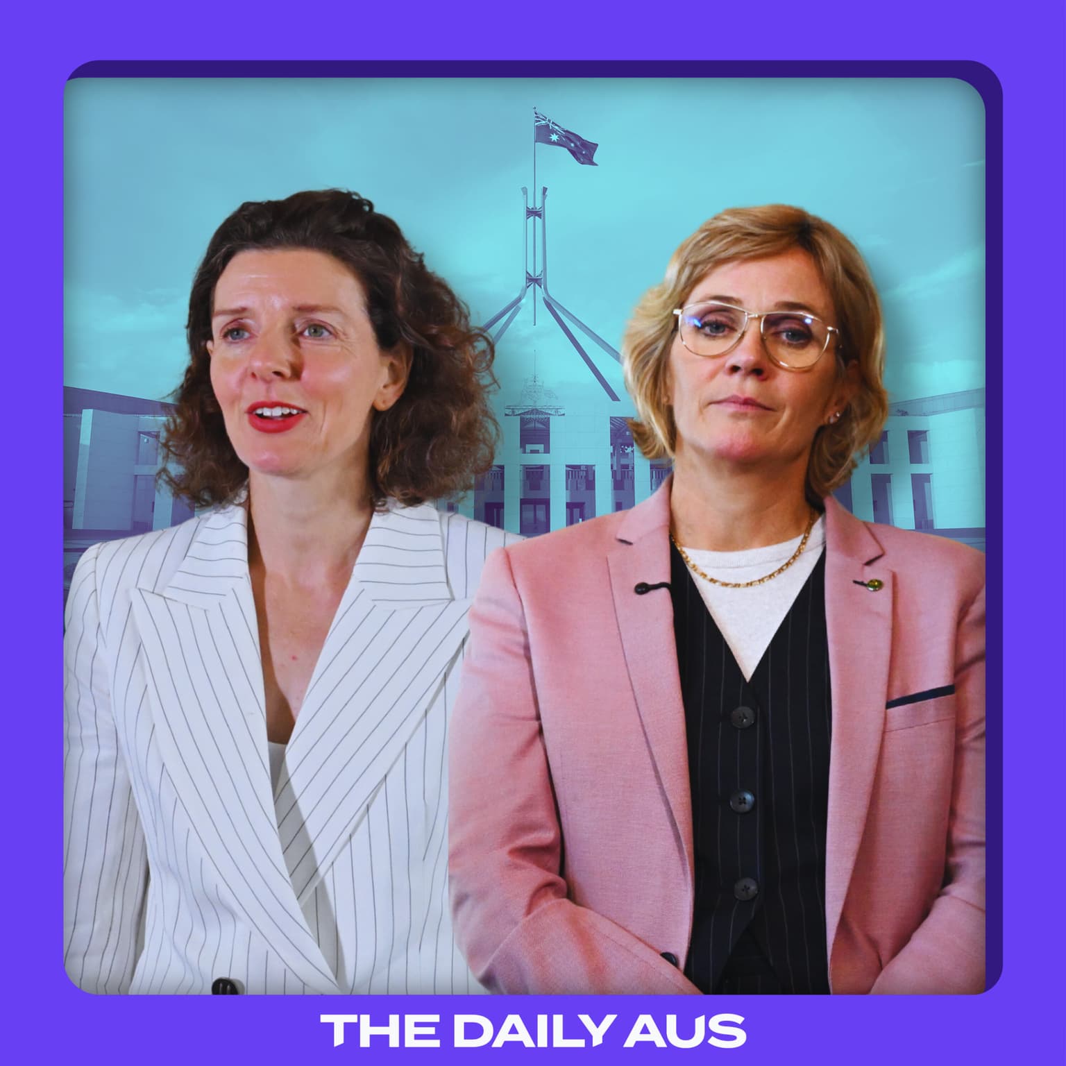 The teals' fight against One Nation artwork