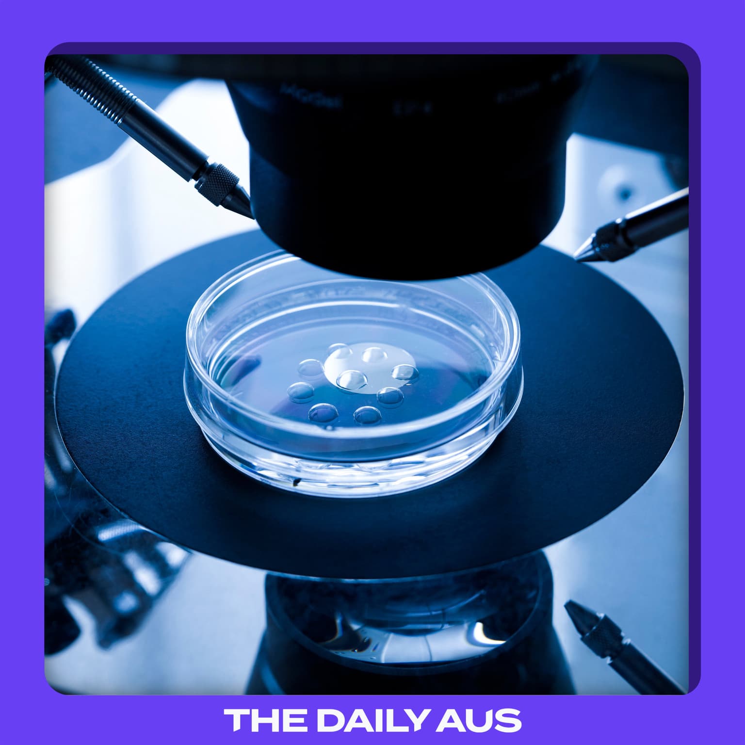 Australia's worst known IVF mix-up artwork