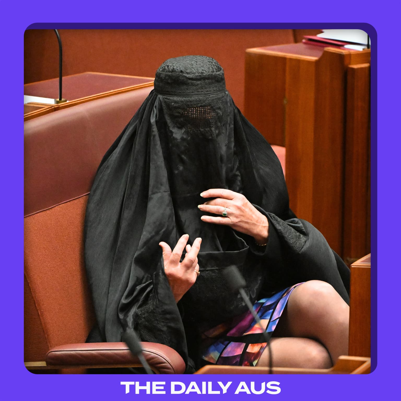 Why Pauline Hanson wore a burqa (again) artwork