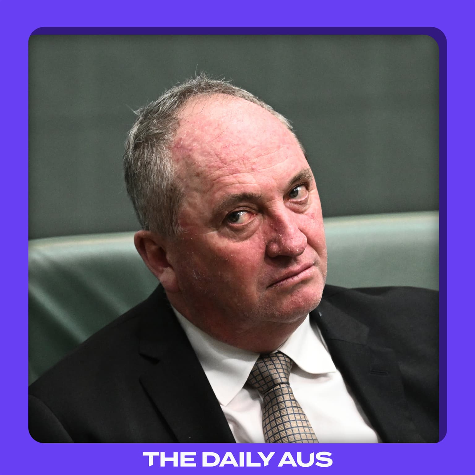Why Barnaby Joyce quit the Nationals artwork
