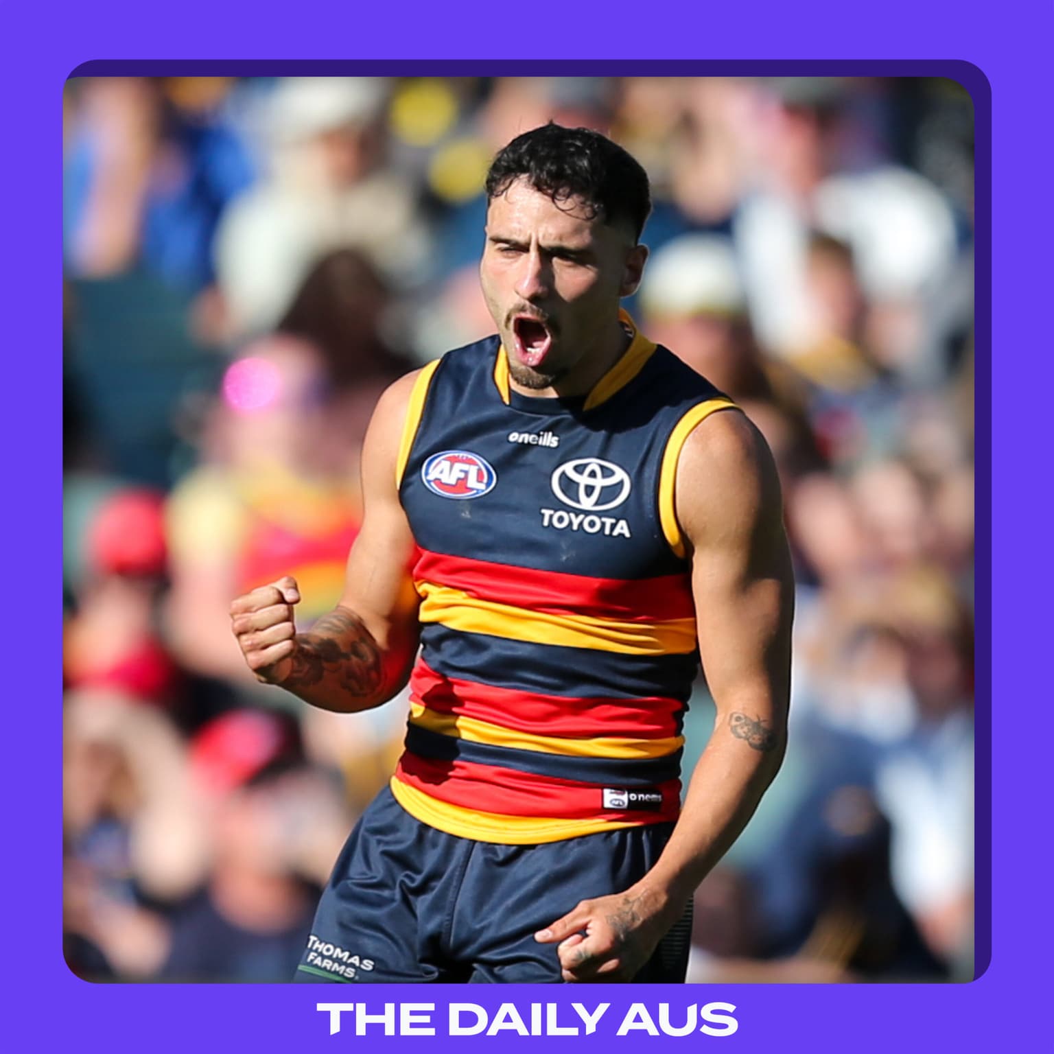 Does the AFL have a homophobia problem? artwork