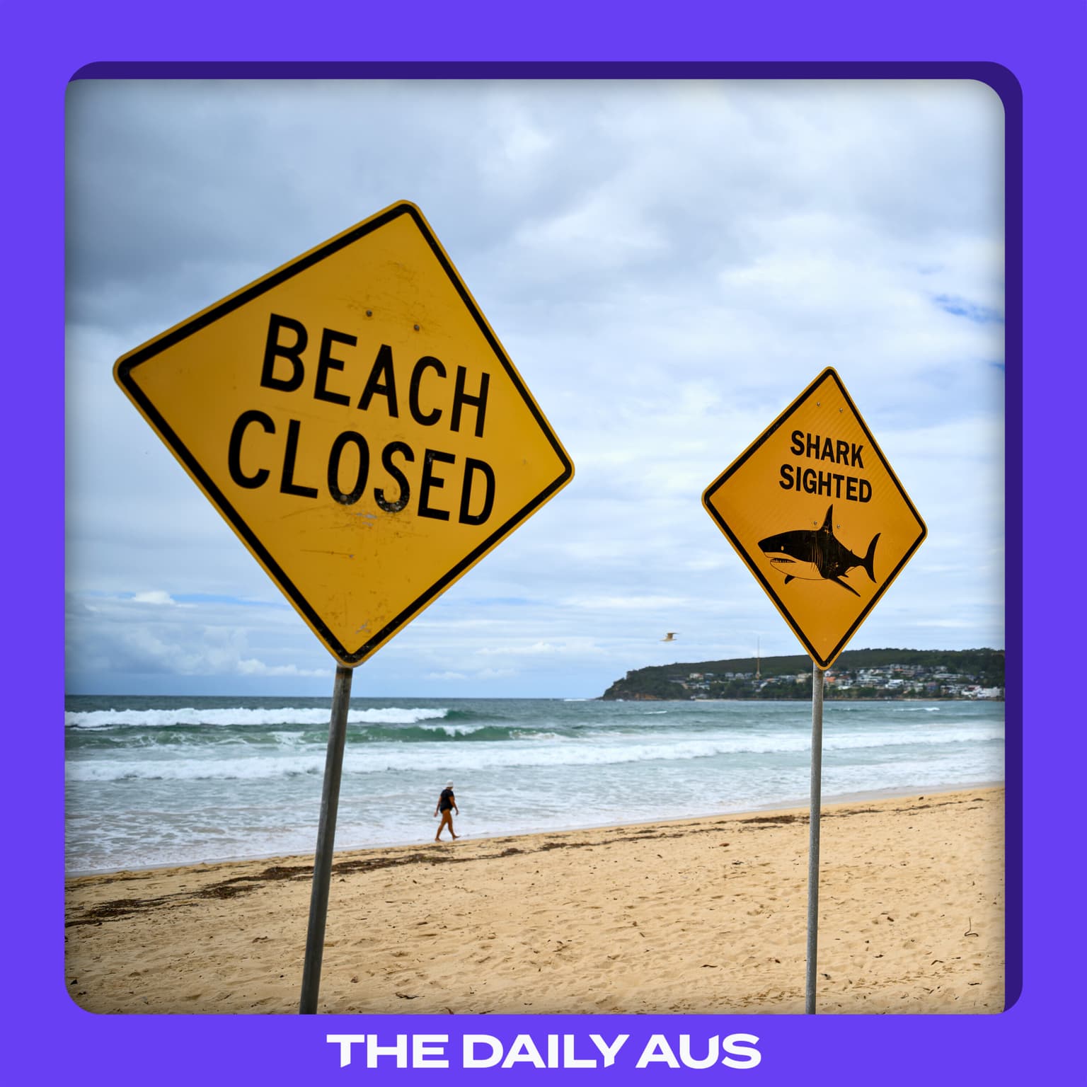 Why are there so many shark attacks right now? artwork