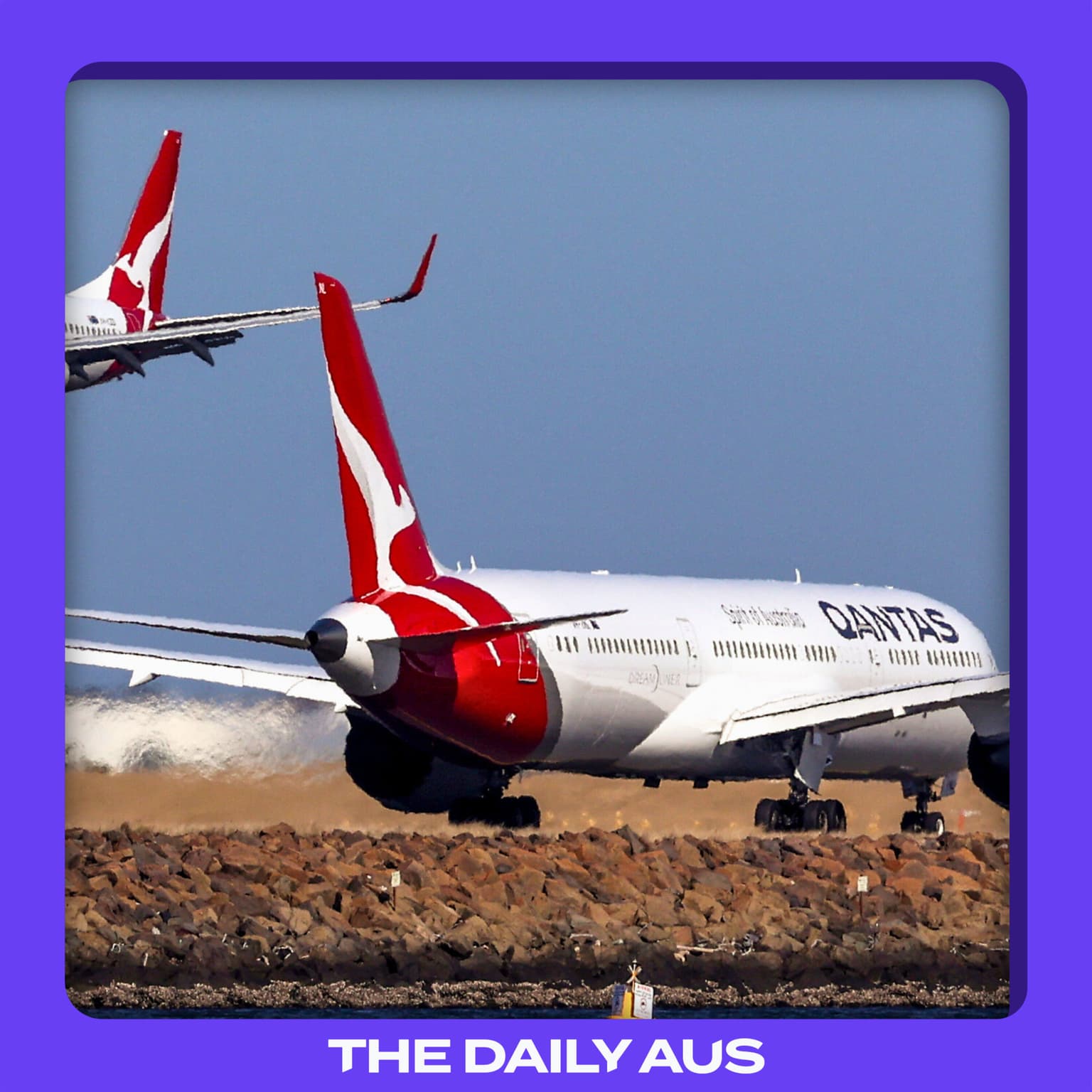 Qantas' record-breaking fine artwork
