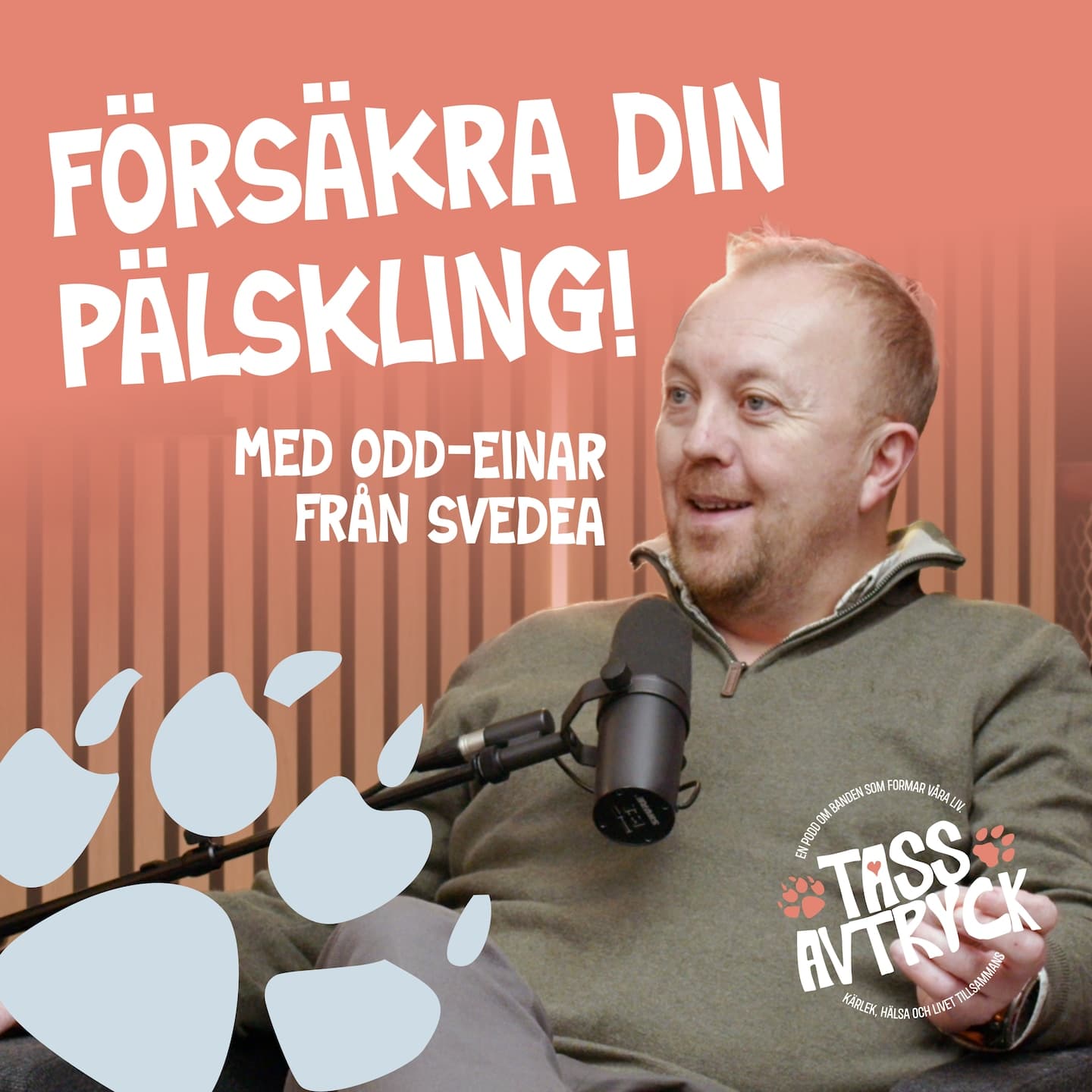 Annons från VAFO: Försäkra ditt husdjur - allt du behöver veta artwork