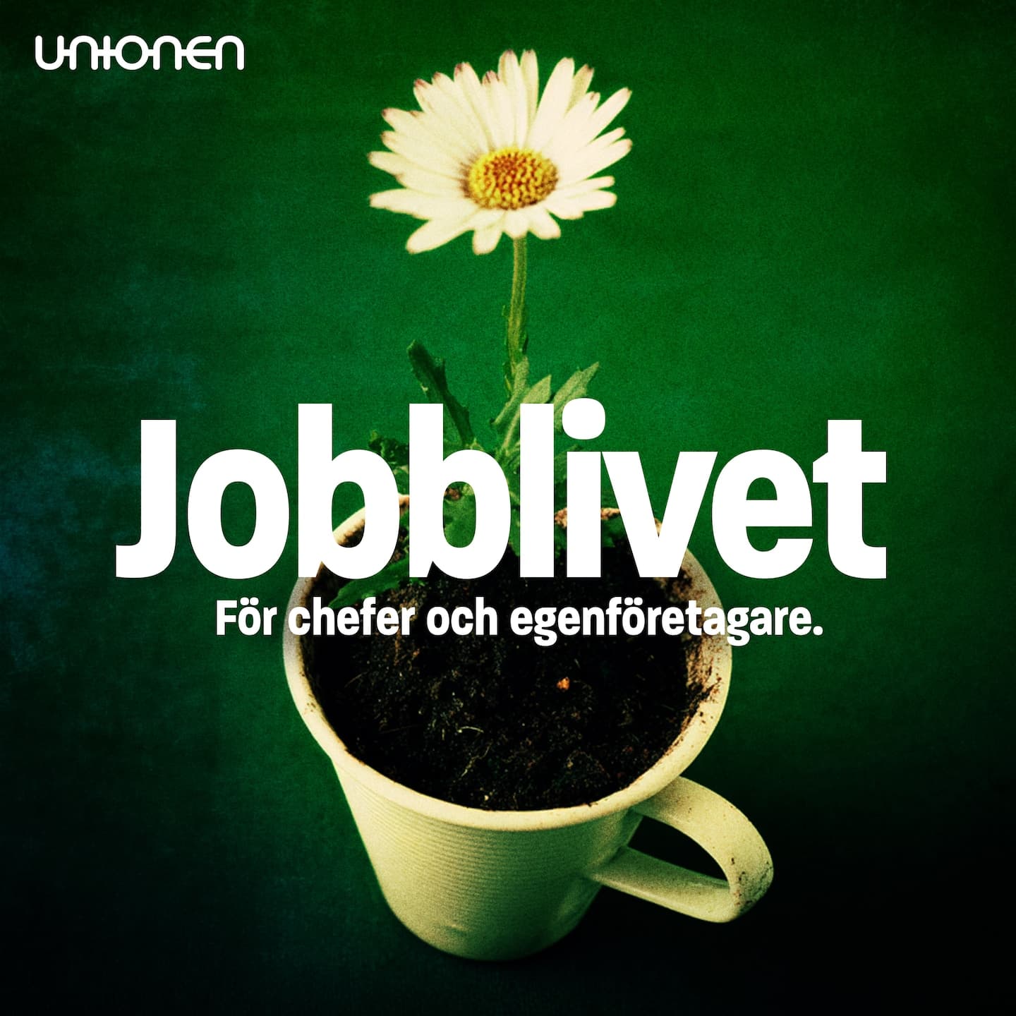 Annons från Unionen: Eget företag – slipp ångest och bygg trygghet artwork
