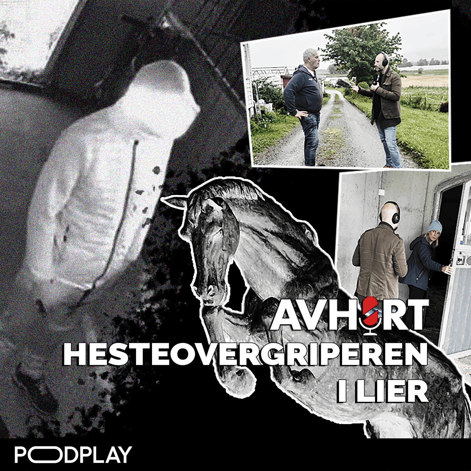 Hesteovergriperen i Lier Del 1 artwork