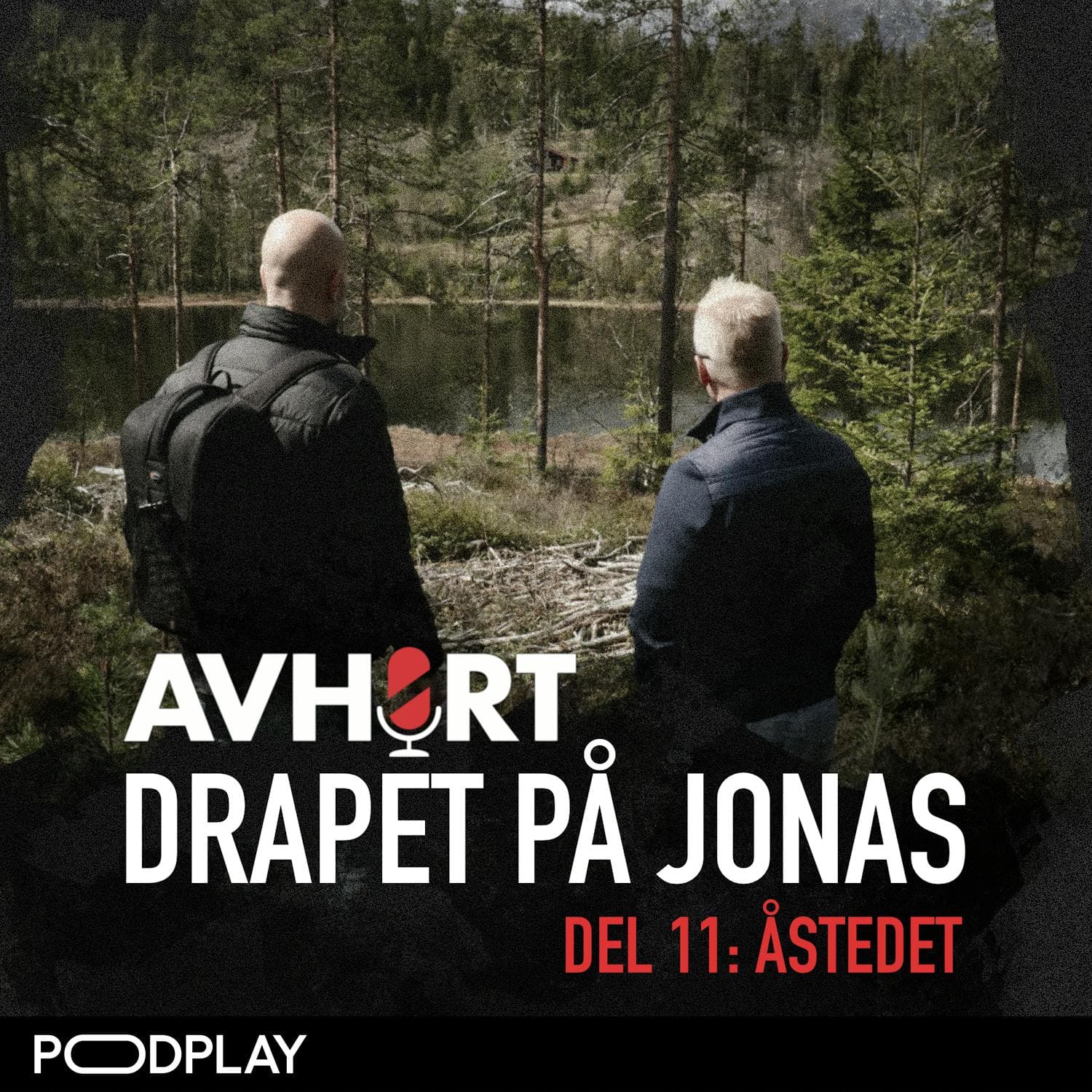 Drapet på Jonas Del 11: Åstedet artwork