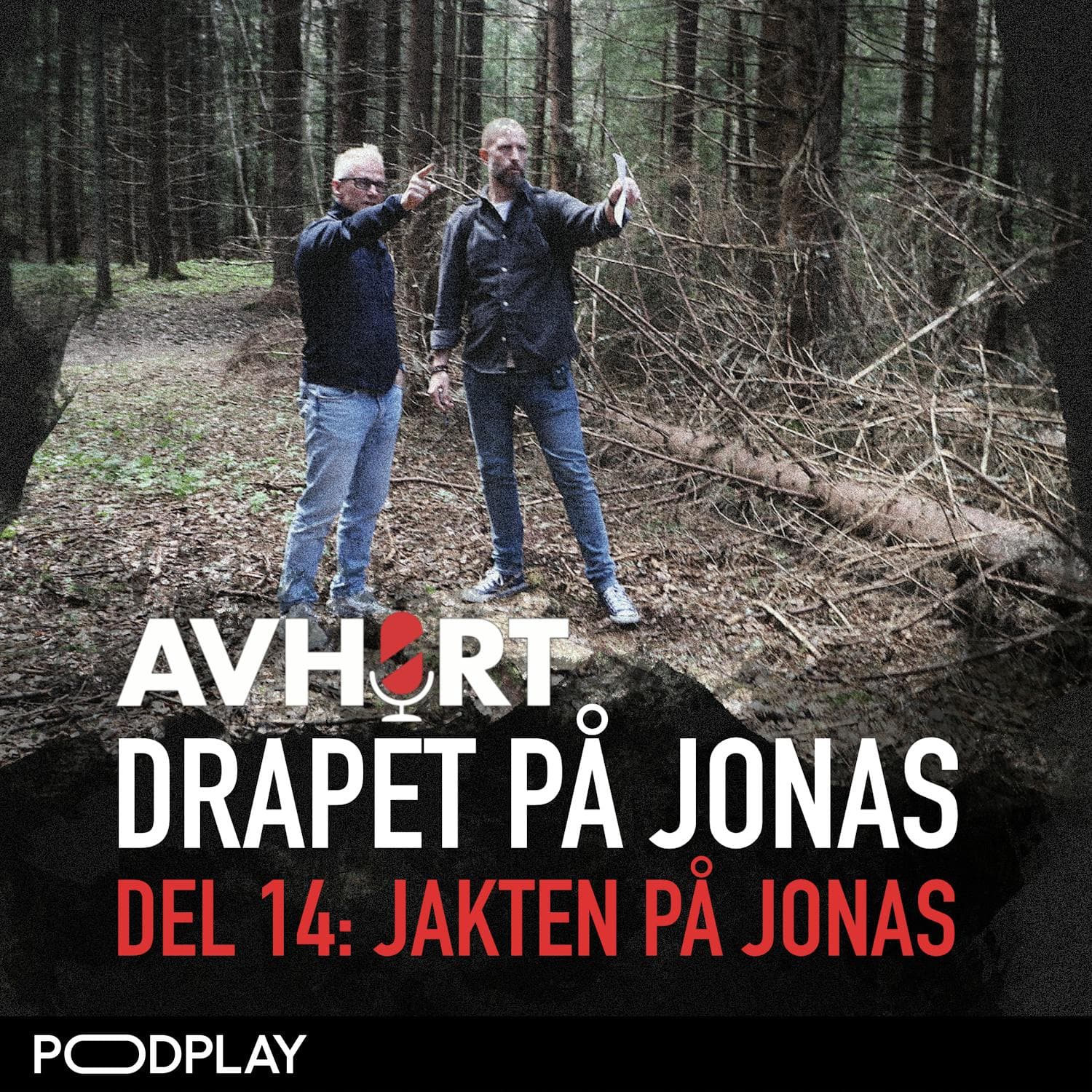 Drapet på Jonas Del 14: Jakten på Jonas artwork
