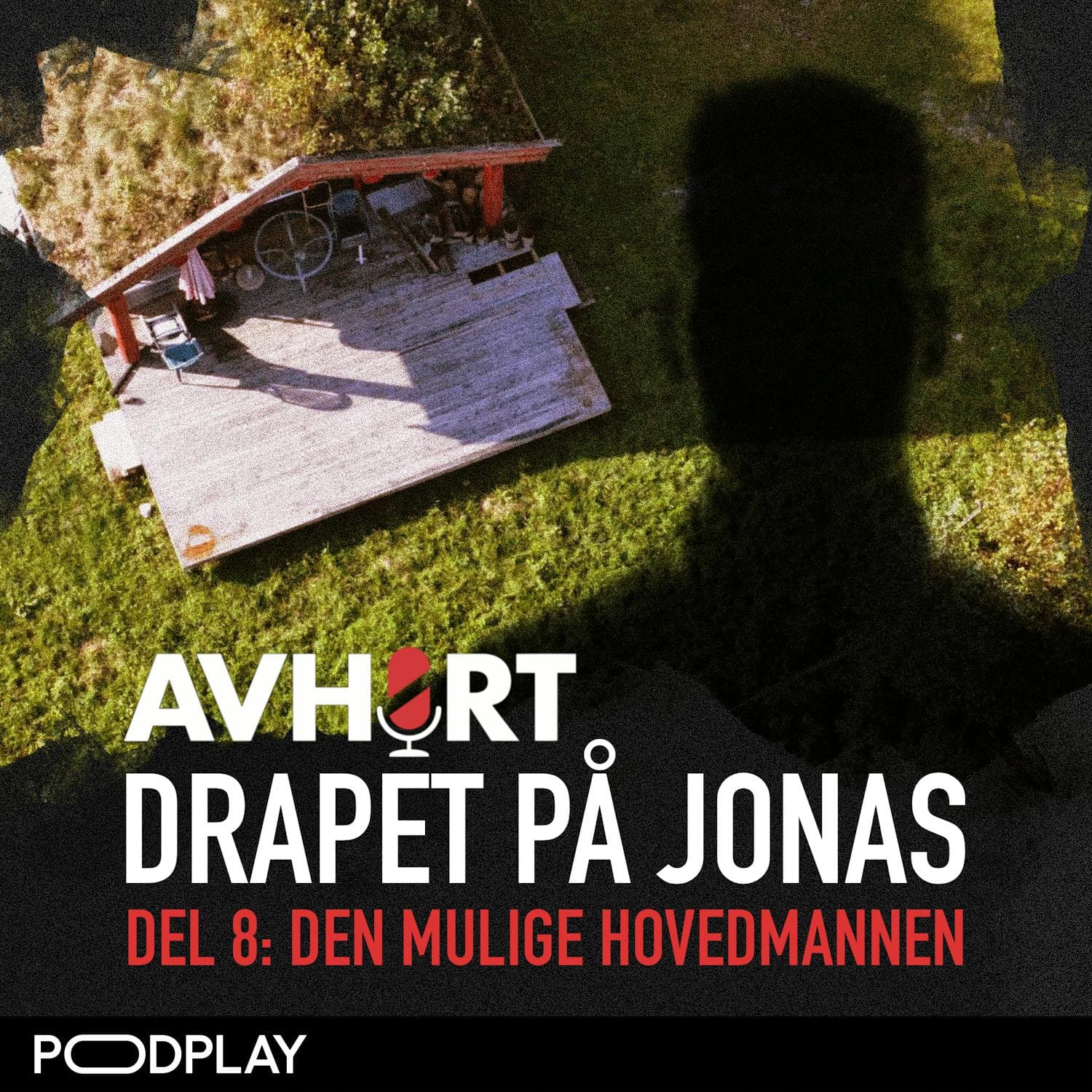 Drapet på Jonas Del 8: Den mulige hovedmannen artwork