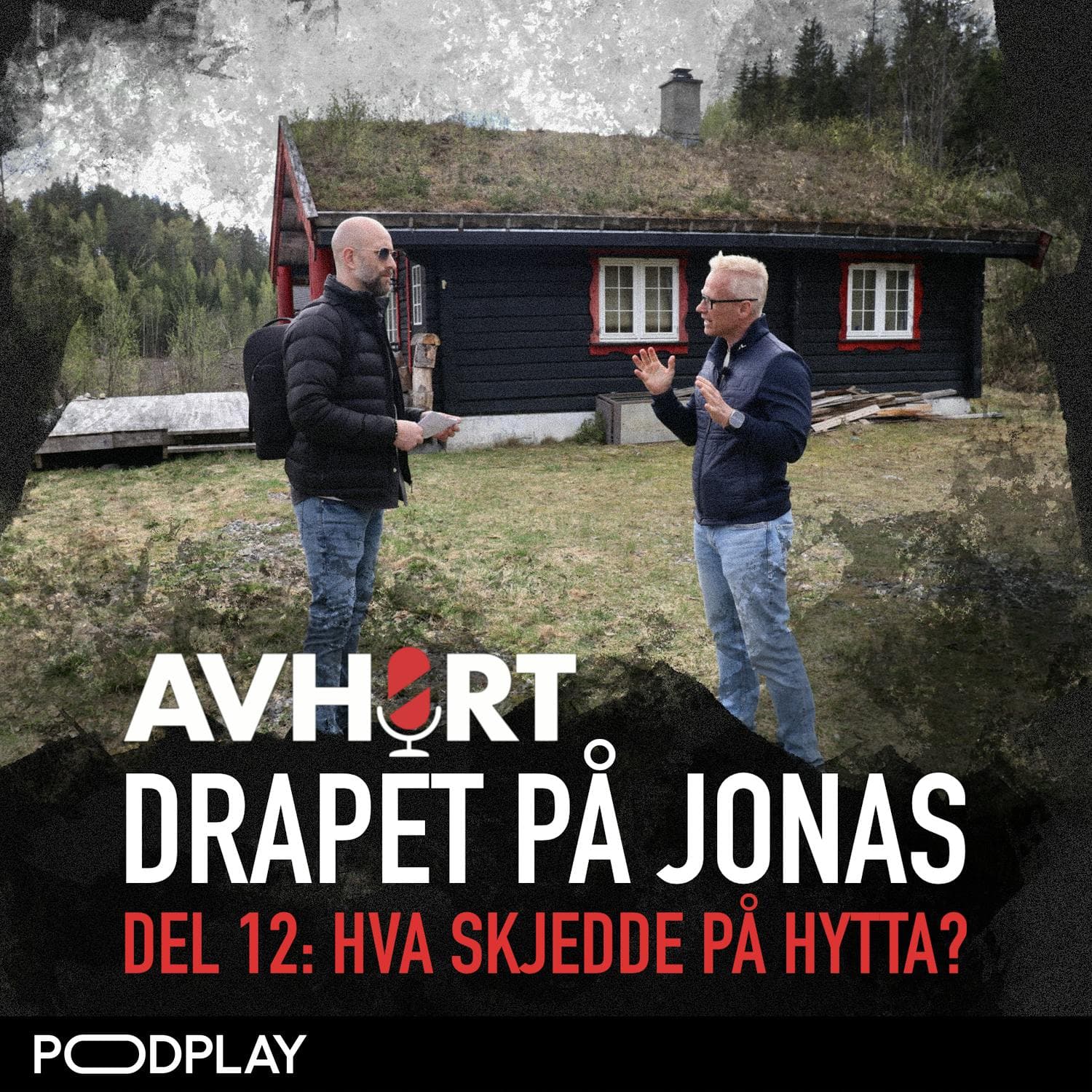 Drapet på Jonas Del 12: Hva skjedde på hytta? artwork