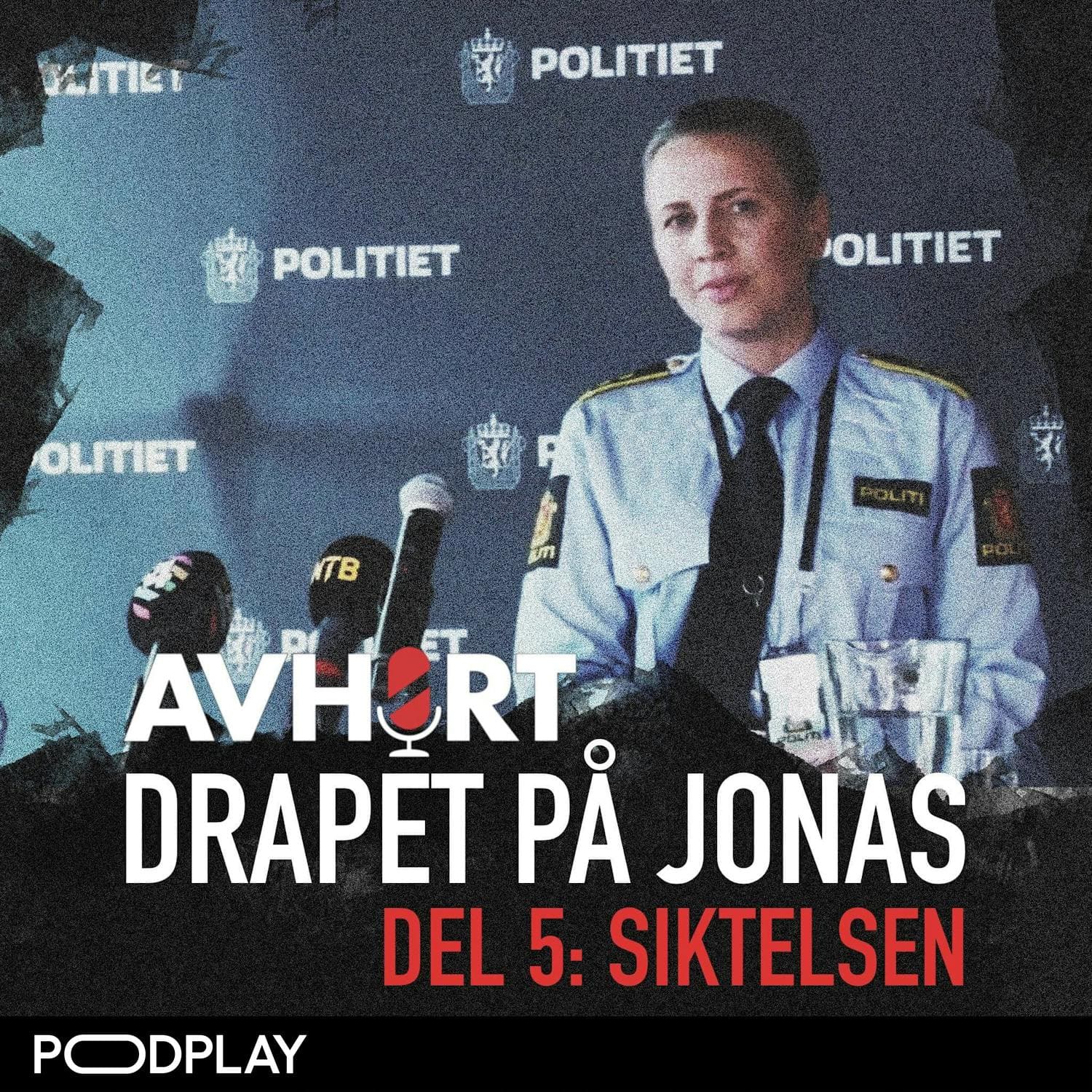 Drapet på Jonas Del 5: Siktelsen artwork