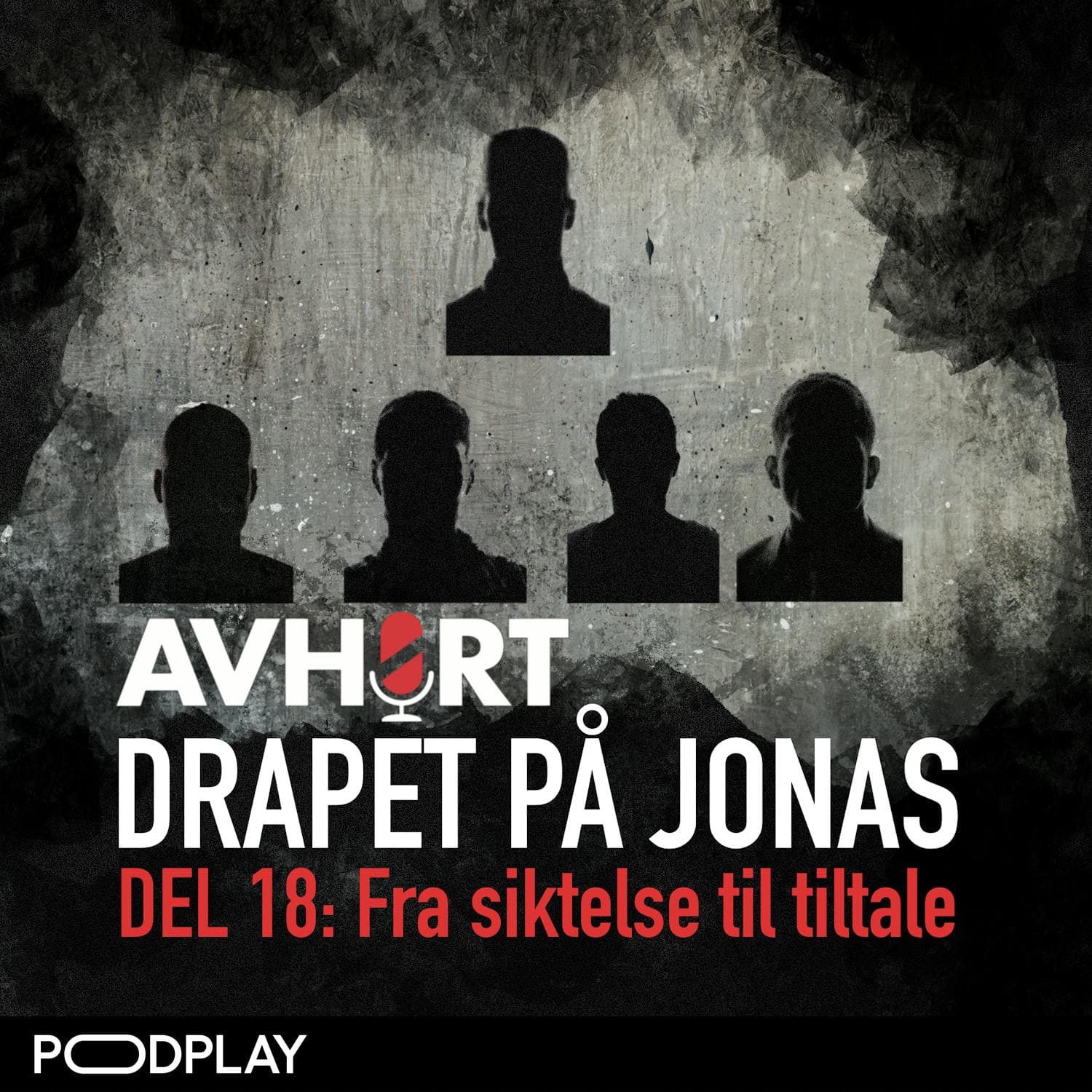 Drapet på Jonas Del 18: Fra siktelse til tiltale artwork