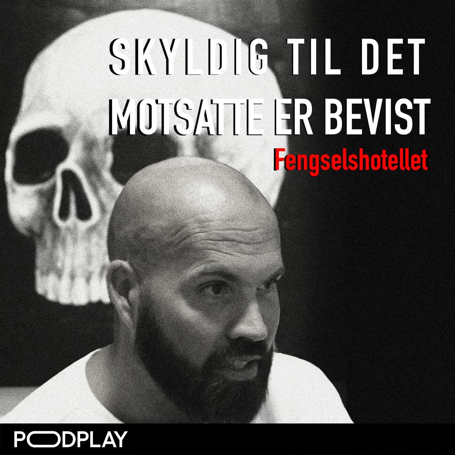 Skyldig til det motsatte er bevist: Fengselshotellet (Bonus) artwork