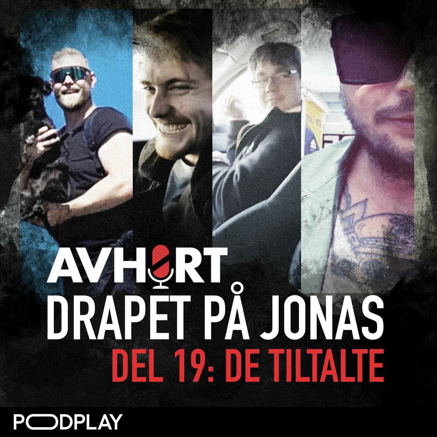 Drapet på Jonas Del 19: De tiltalte artwork