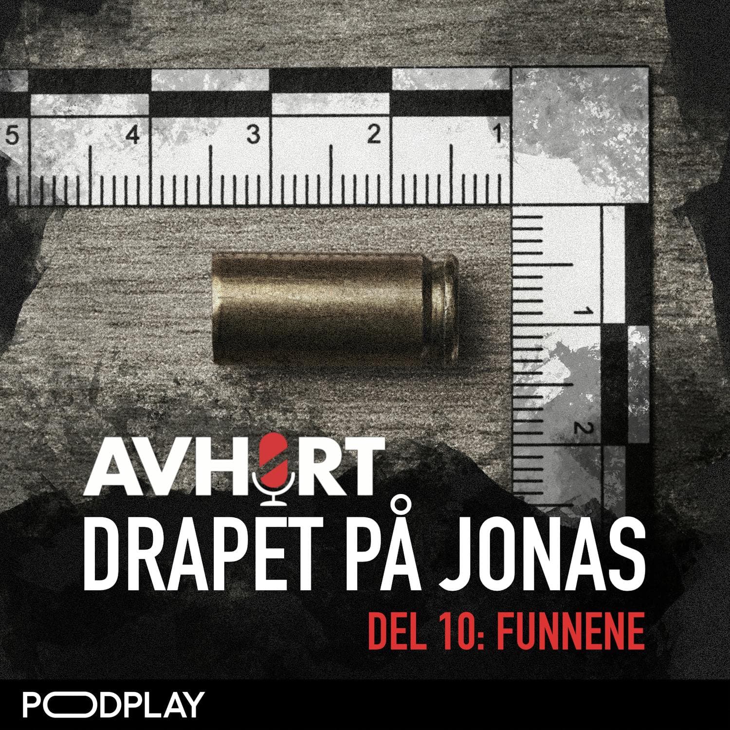 Drapet på Jonas Del 10: Funnene artwork