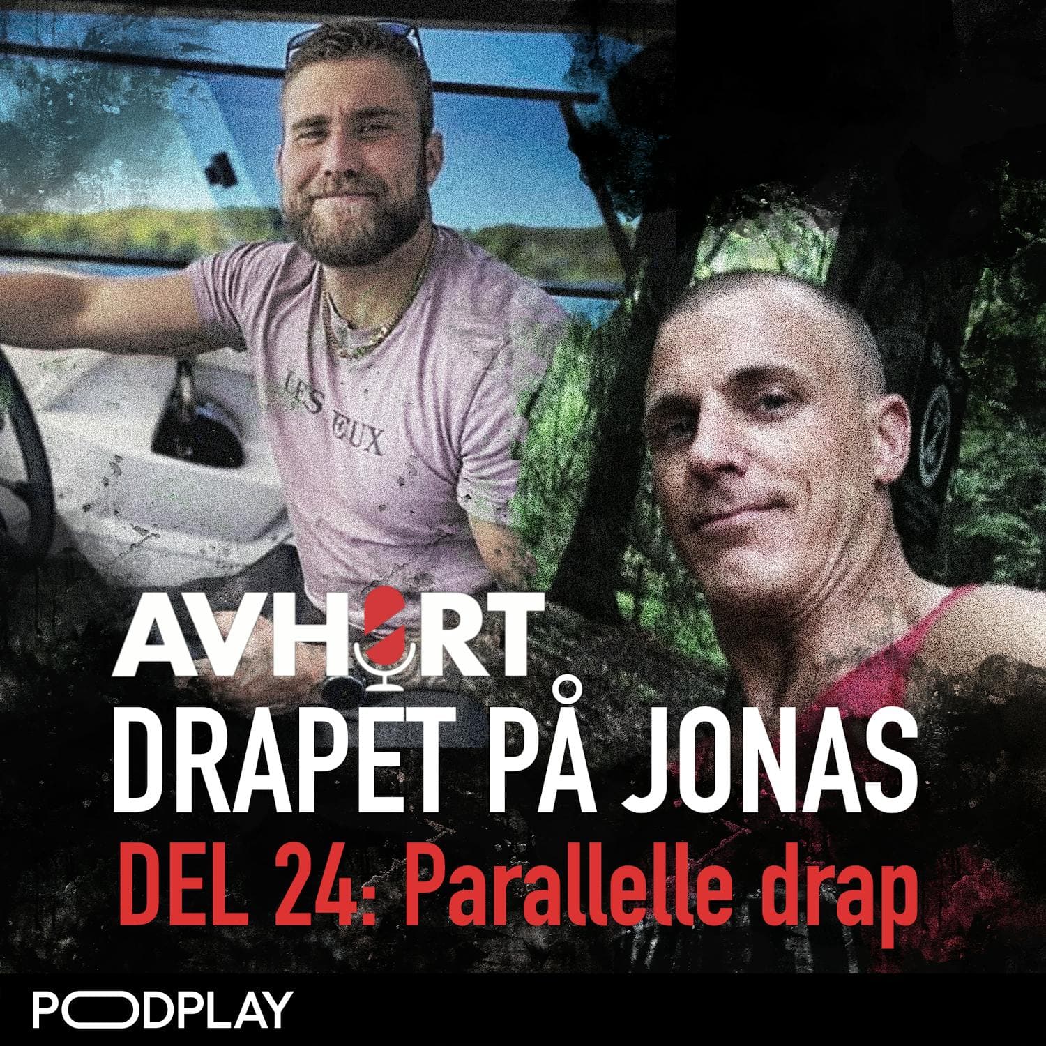 Drapet på Jonas Del 24: Parallelle drap artwork