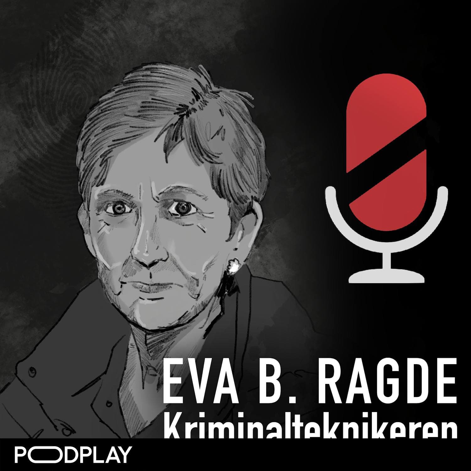 Eva B. Ragde: Kriminalteknikeren artwork